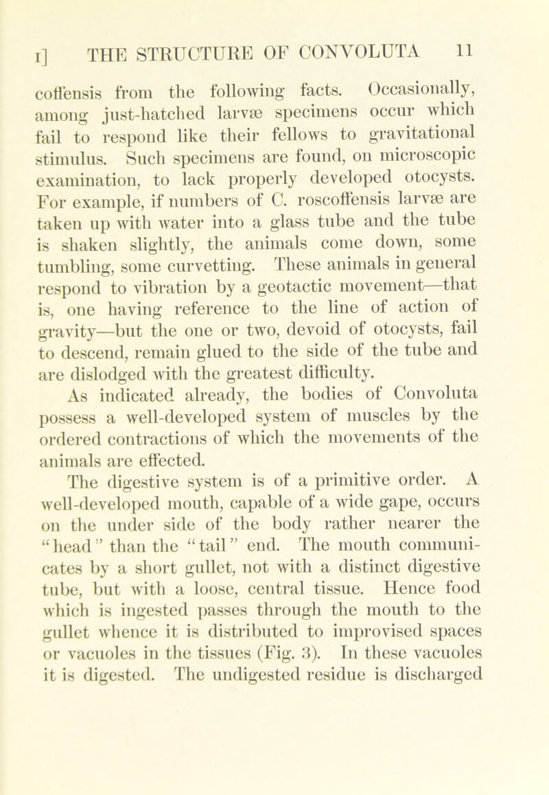 coll'ensis from the following facts. Occasionally, among just-hatched larvae specimens occur which fail to respond like their fellows to gravitational stimulus. Such specimens are found, on microscopic examination, to lack properly developed otocysts. For example, if numbers of C. roscoffensis larva) are taken up with water into a glass tube and the tube is shaken slightly, the animals come down, some tumbling, some curvetting. These animals in general respond to vibration by a geotactic movement—that is, one having reference to the line of action of gravity—but the one or two, devoid of otocysts, fail to descend, remain glued to the side of the tube and are dislodged with the greatest difficulty. As indicated already, the bodies of Convoluta possess a well-developed system of muscles by the ordered contractions of which the movements of the animals are effected. The digestive system is of a primitive order. A well-developed mouth, capable of a wide gape, occurs on the under side of the body rather nearer the “ head ” than the “ tail ” end. The mouth communi- cates by a short gullet, not with a distinct digestive tube, but with a loose, central tissue. Hence food which is ingested passes through the mouth to the gullet whence it is distributed to improvised spaces or vacuoles in the tissues (Fig. 3). In these vacuoles it is digested. The undigested residue is discharged