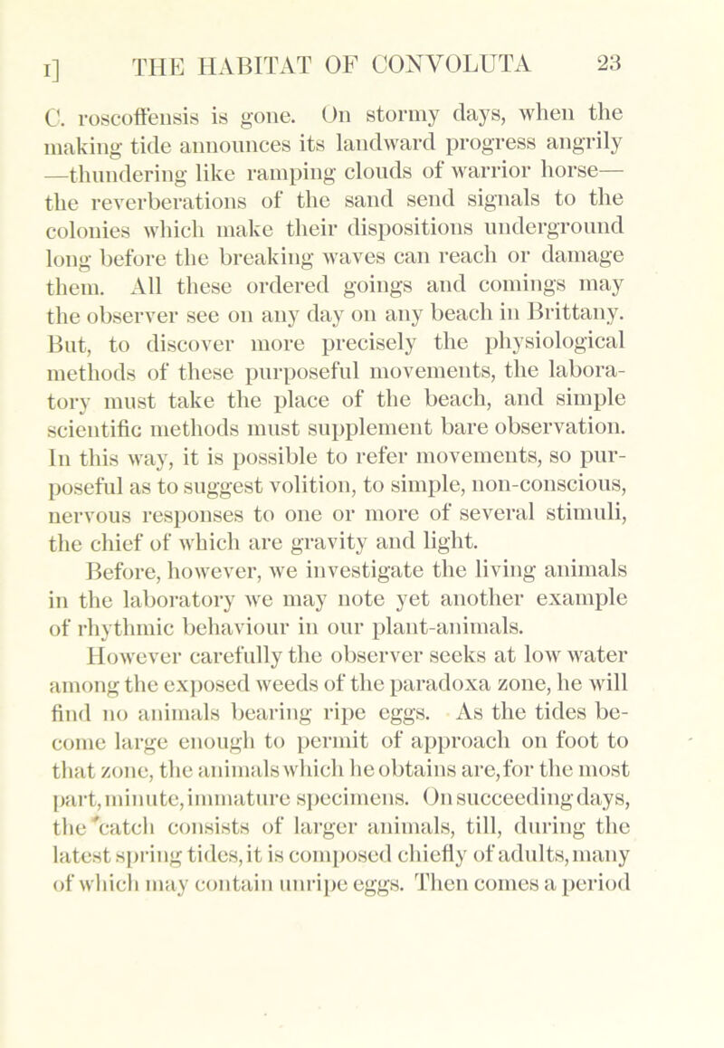 C. roscoffensis is gone. On stormy days, when the making tide announces its landward progress angrily —thundering like ramping clouds of warrior horse— the reverberations of the sand send signals to the colonies which make their dispositions underground long before the breaking waves can reach or damage them. All these ordered goings and comings may the observer see on any day on any beach in Brittany. But, to discover more precisely the physiological methods of these purposeful movements, the labora- tory must take the place of the beach, and simple scientific methods must supplement bare observation. In this way, it is possible to refer movements, so pur- poseful as to suggest volition, to simple, non-conscious, nervous responses to one or more of several stimuli, the chief of which are gravity and light. Before, however, we investigate the living animals in the laboratory we may note yet another example of rhythmic behaviour in our plant-animals. However carefully the observer seeks at low water among the exposed weeds of the paradoxa zone, he will find no animals bearing ripe eggs. As the tides be- come large enough to permit of approach on foot to that zone, the animals which lie obtains are,for the most part, minute, immature specimens. On succeeding days, the'catch consists of larger animals, till, during the latest spring tides,it is composed chiefly of adults,many of which may contain unripe eggs. Then comes a period