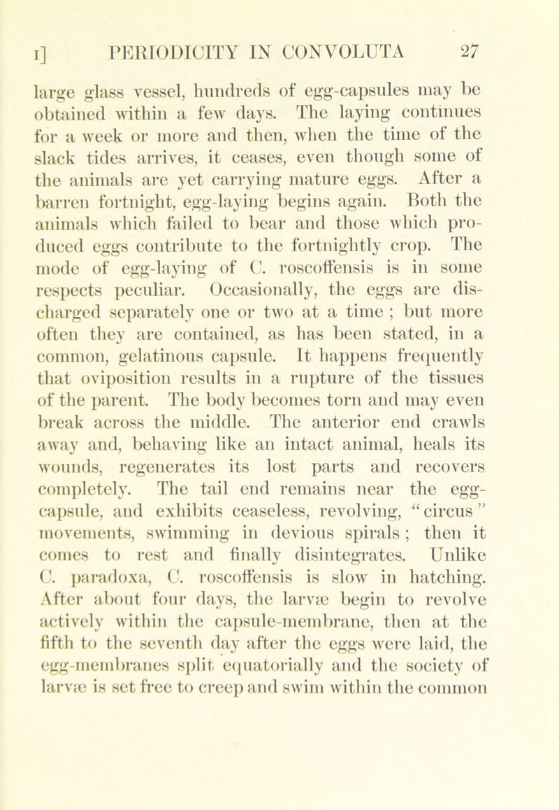 large glass vessel, hundreds of egg-capsules may be obtained within a few days. The laying continues for a week or more and then, when the time of the slack tides arrives, it ceases, even though some of the animals are yet carrying mature eggs. After a barren fortnight, egg-laying begins again. Both the animals which failed to bear and those which pro- duced eggs contribute to the fortnightly crop. The mode of egg-laying of C. roscotfensis is in some respects peculiar. Occasionally, the eggs are dis- charged separately one or two at a time ; but more often they are contained, as has been stated, in a common, gelatinous capsule. It happens frequently that oviposition results in a rupture of the tissues of the parent. The body becomes torn and may even break across the middle. The anterior end crawls away and, behaving like an intact animal, heals its wounds, regenerates its lost parts and recovers completely. The tail end remains near the egg- capsule, and exhibits ceaseless, revolving, “ circus ” movements, swimming in devious spirals ; then it comes to rest and finally disintegrates. Unlike C. paradoxa, C. roscoffensis is slow in hatching. After about four days, the larvae begin to revolve actively within the capsule-membrane, then at the fifth to the seventh day after the eggs were laid, the egg-membranes split equatorially and the society of larvae is set free to creep and swim within the common