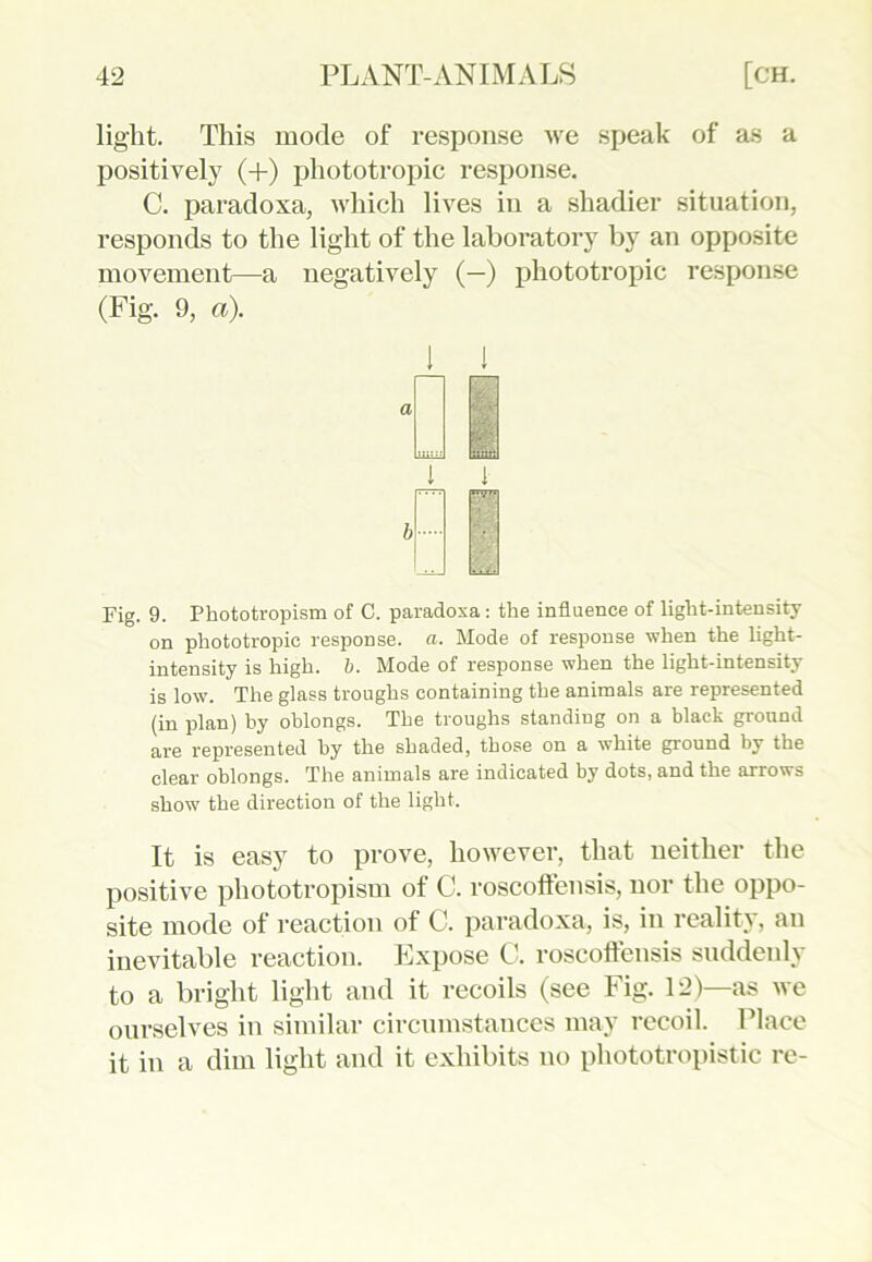 light. This mode of response we speak of as a positively (+) phototropic response. C. paradoxa, which lives in a shadier situation, responds to the light of the laboratory by an opposite movement—a negatively (—) phototropic response (Fig. 9, a). 1 1 • min 1 i- Fig. 9. Phototropism of C. paradoxa: the influence of light-intensity on phototropic response, a. Mode of response when the light- intensity is high. b. Mode of response when the light-intensity is low. The glass troughs containing the animals are represented (in plan) by oblongs. The troughs standing on a black ground are represented by the shaded, those on a white ground by the clear oblongs. The animals are indicated by dots, and the arrows show the direction of the light. It is easy to prove, however, that neither the positive phototropism of C. roscoffensis, nor the oppo- site mode of reaction of C. paradoxa, is, in reality, an inevitable reaction. Expose C. roscoffensis suddenly to a bright light and it recoils (see Fig. 12)—as we ourselves in similar circumstances may recoil. Place it in a dim light and it exhibits no pliototropistic re-