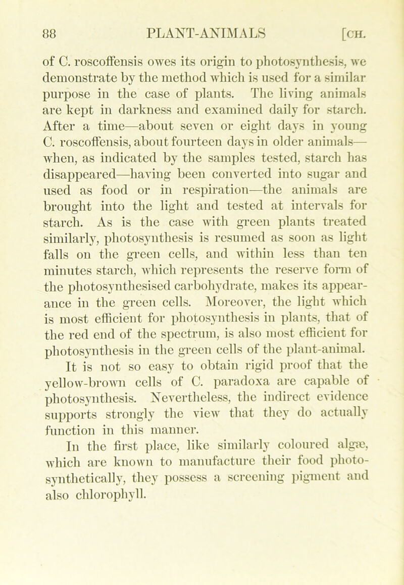 of C. roscolfensis owes its origin to photosynthesis, we demonstrate by the method which is used for a similar purpose in the case of plants. The living animals are kept in darkness and examined daily for starch. After a time—about seven or eight days in young C. roscolfensis, about fourteen days in older animals— when, as indicated by the samples tested, starch has disappeared—having been converted into sugar and used as food or in respiration—the animals are brought into the light and tested at intervals for starch. As is the case with green plants treated similarly, photosynthesis is resumed as soon as light falls on the green cells, and within less than ten minutes starch, which represents the reserve form of the pliotosynthesised carbohydrate, makes its appear- ance in the green cells. Moreover, the light which is most efficient for photosynthesis in plants, that of the red end of the spectrum, is also most efficient for photosynthesis in the green cells of the plant-animal. It is not so easy to obtain rigid proof that the yellow-brown cells of C. paradoxa are capable of photosynthesis. Nevertheless, the indirect evidence supports strongly the view that they do actually function in this manner. In the first place, like similarly coloured alga?, which are known to manufacture their food photo- synthetically, they possess a screening pigment and also chlorophyll.