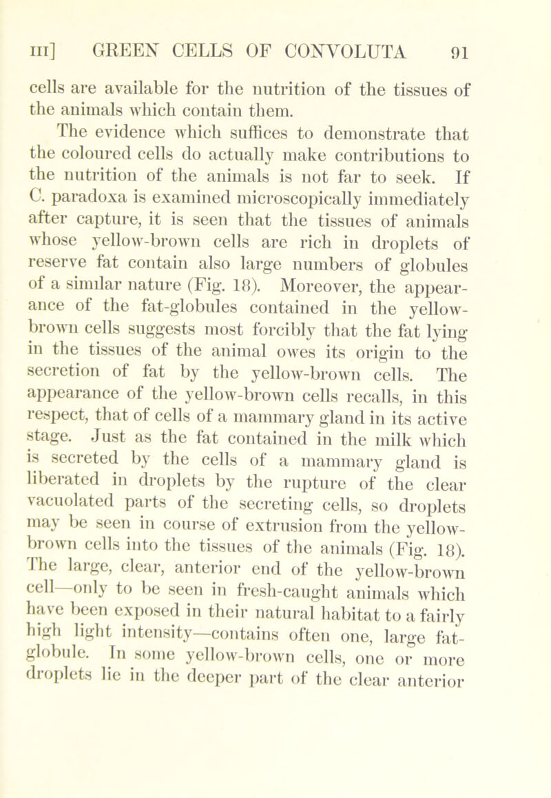 cells are available for the nutrition of the tissues of the animals which contain them. The evidence which suffices to demonstrate that the coloured cells do actually make contributions to the nutrition of the animals is not far to seek. If C. paradoxa is examined microscopically immediately after capture, it is seen that the tissues of animals whose yellow-brown cells are rich in droplets of reserve fat contain also large numbers of globules of a similar nature (Fig. 18). Moreover, the appear- ance of the fat-globules contained in the yellow- brown cells suggests most forcibly that the fat lying- in the tissues of the animal owes its origin to the secretion of fat by the yellow-brown cells. The appearance of the yellow-brown cells recalls, in this respect, that of cells of a mammary gland in its active stage. Just as the fat contained in the milk which is secreted by the cells of a mammary gland is liberated in droplets by the rupture of the clear vacuolated parts of the secreting cells, so droplets may be seen in course of extrusion from the yellow- brown cells into the tissues of the animals (Fig. 18). I lie laige, clear, anterior end of the yellow-brown cell—only to be seen in fresli-caught animals which have been exposed in their natural habitat to a fairly high light intensity—contains often one, large fat globule. In some yellow-brown cells, one or more droplets lie in the deeper part of the clear anterior