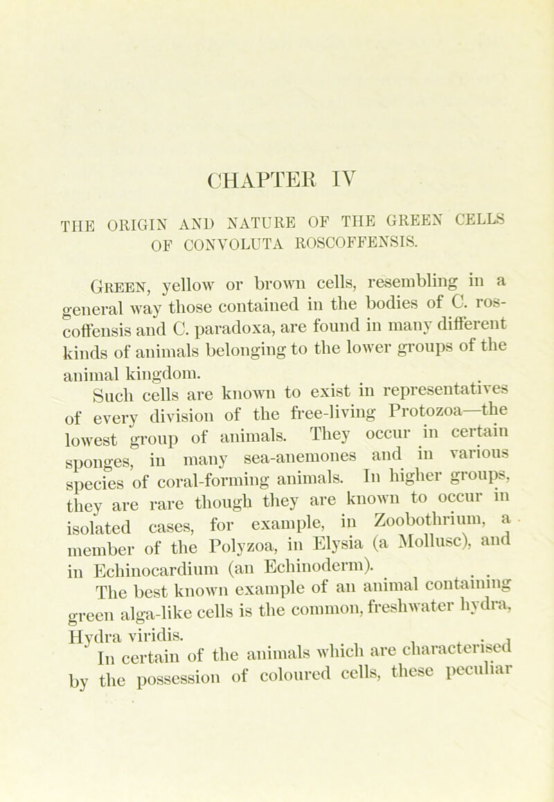 CHAPTER IV THE ORIGIN AND NATURE OF THE GREEN CELLS OF CONVOLUTA ROSCOFFENSIS. Green, yellow or brown cells, resembling in a general way those contained in the bodies of C. ros- coffensis and C. paradoxa, are found in many different kinds of animals belonging to the lower groups of the animal kingdom. Such cells are known to exist in representatives of every division of the free-living Protozoa—the lowest group of animals. They occur in certain sponges, in many sea-anemones and in various species of coral-forming animals. In higher groups, they are rare though they are known to occur in isolated cases, for example, in Zoobotlirium, a member of the Polyzoa, in Elysia (a Mollusc), and in Echinocardium (an Echinoderm). The best known example of an animal containing green alga-like cells is the common, freshwater hydra, Hydra viridis. , . , ' In certain of the animals which are characterised by the possession of coloured cells, these peculiar