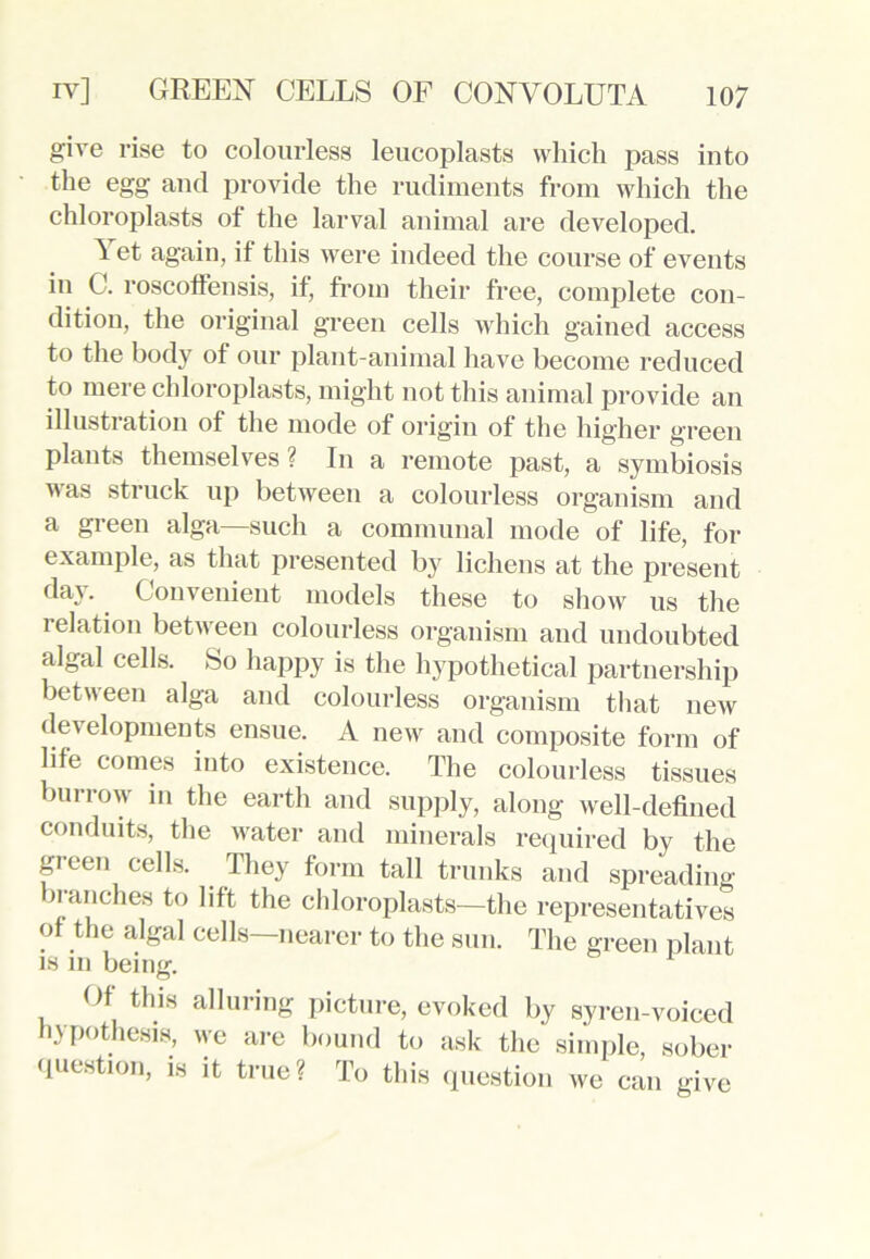 give rise to colourless leucoplasts which pass into the egg and provide the rudiments from which the chloroplasts of the larval animal are developed. ^ et again, if this were indeed the course of events in C. roscoffensis, if, from their free, complete con- dition, the original green cells which gained access to the body of our plant-animal have become reduced to mere chloroplasts, might not this animal provide an illustration of the mode of origin of the higher green plants themselves ? In a remote past, a symbiosis was struck up between a colourless organism and a green alga—such a communal mode of life, for example, as that presented by lichens at the present day- Convenient models these to show us the relation between colourless organism and undoubted algal cells. So happy is the hypothetical partnership between alga and colourless organism that new developments ensue. A new and composite form of life comes into existence. The colourless tissues burrow in the earth and supply, along well-defined conduits, the water and minerals required by the green cells. They form tall trunks and spreading- branches to lift the chloroplasts—the representatives of the algal cells—nearer to the sun. The green plant is in being. Of this alluring picture, evoked by syren-voiced hypothesis, we are bound to ask the simple, sober question, is it true? To this question we can give