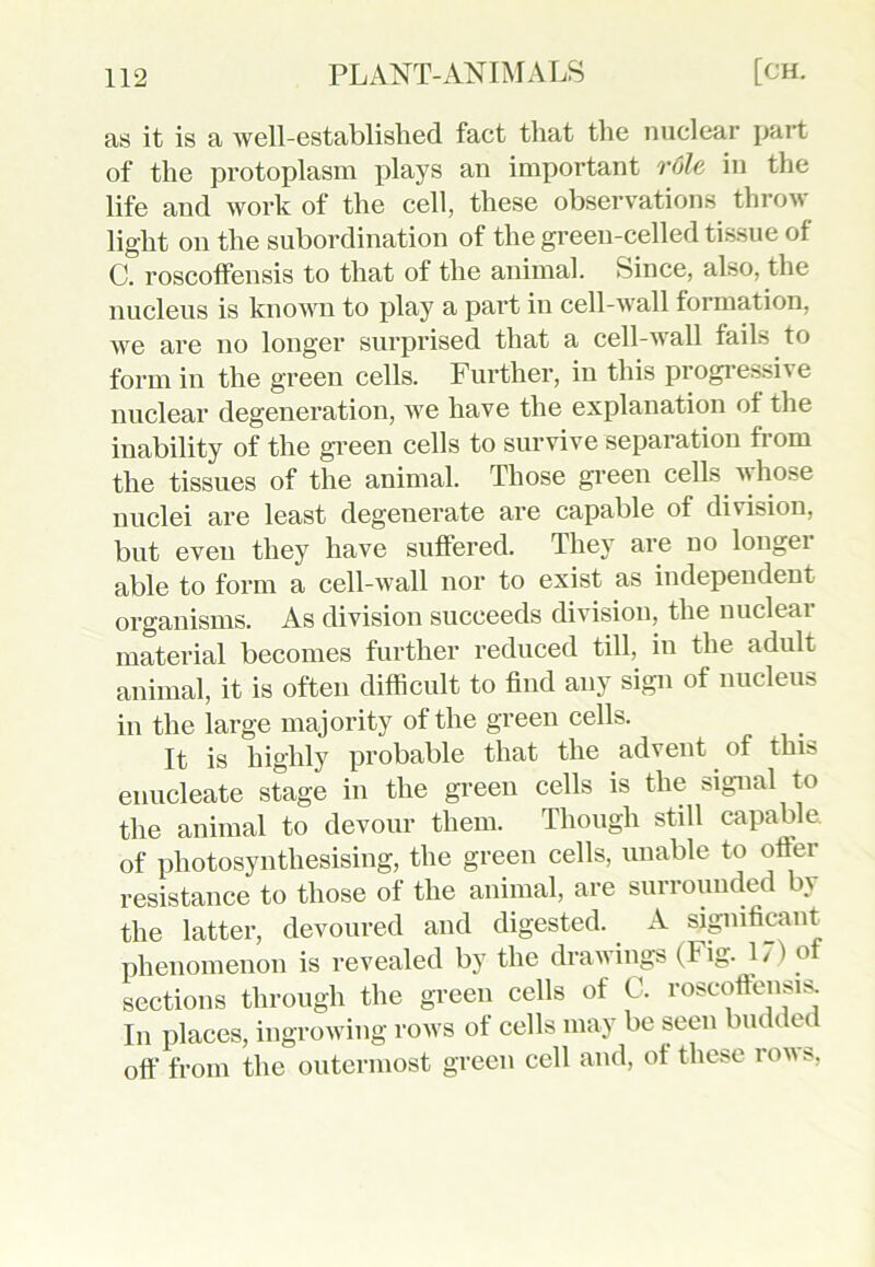 as it is a well-established fact that the nuclear part of the protoplasm plays an important role in the life and work of the cell, these observations throw light on the subordination of the green-celled tissue of C. roscoffensis to that of the animal. Since, also, the nucleus is known to play a part in cell-wall formation, we are no longer surprised that a cell-wall faiL to form in the green cells. Further, in this progressive nuclear degeneration, we have the explanation of the inability of the green cells to survive separation from the tissues of the animal. Those green cells whose nuclei are least degenerate are capable of division, but even they have suffered. They are uo longei able to form a cell-wall nor to exist as independent organisms. As division succeeds division, the nucleai material becomes further reduced till, in the adult animal, it is often difficult to find any sign of nucleus in the large majority of the green cells. It is highly probable that the advent of this enucleate stage in the green cells is the signal to the animal to devour them. Though still capable of photosynthesising, the green cells, unable to otter resistance to those of the animal, are surrounded by the latter, devoured and digested. A significant phenomenon is revealed by the drawings (Fig. 1/ ' ° sections through the green cells of C. roscoffensis. In places, ingrowing rows of cells may be seen buddec off from the outermost green cell and, of these rows,