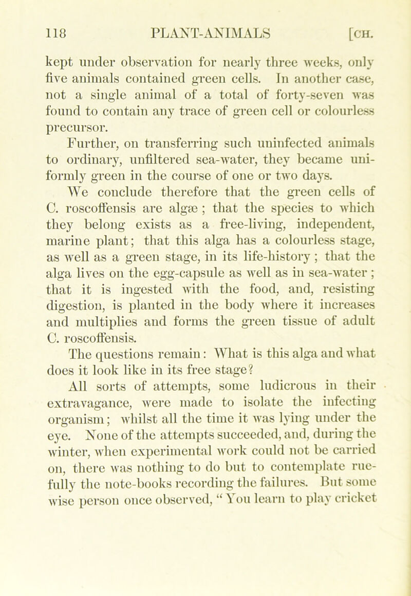 kept under observation for nearly three weeks, only five animals contained green cells. In another case, not a single animal of a total of forty-seven was found to contain any trace of green cell or colourless precursor. Further, on transferring such uninfected animals to ordinary, unfiltered sea-water, they became uni- formly green in the course of one or two days. We conclude therefore that the green cells of C. roscoffensis are algae ; that the species to which they belong exists as a free-living, independent, marine plant; that this alga has a colourless stage, as well as a green stage, in its life-history ; that the alga lives on the egg-capsule as well as in sea-water ; that it is ingested with the food, and, resisting digestion, is planted in the body where it increases and multiplies and forms the green tissue of adult C. roscoffensis. The questions remain: What is this alga and what does it look like in its free stage? All sorts of attempts, some ludicrous in their extravagance, were made to isolate the infecting organism; whilst all the time it was lying under the eye. None of the attempts succeeded, and, during the winter, when experimental work could not be carried on, there was nothing to do but to contemplate rue- fully the note-books recording the failures. But some wise person once observed, “ You learn to play cricket