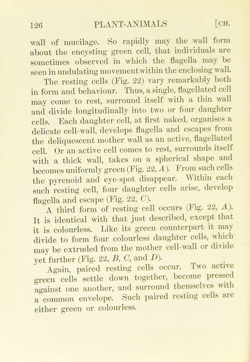 wall of mucilage. So rapidly may the wall form about the eucystiug green cell, that individuals are sometimes observed in which the flagella may be seen in undulating movement within the enclosing wall. The resting cells (Fig. 22) vary remarkably both in form and behaviour. Thus, a single, flagellated cell may come to rest, surround itself with a thin wall and divide longitudinally into two or four daughter cells. Each daughter cell, at first naked, organises a delicate cell-wall, develops flagella and escapes from the deliquescent mother wall as an active, flagellated cell. Or an active cell comes to rest, surrounds itself with a thick wall, takes on a spherical shape and becomes uniformly green (Fig. 22, A). From such cells the pyrenoid and eye-spot disappear. Within each such resting cell, four daughter cells arise, develop flagella and escape (Fig. 22, G). A third form of resting cell occurs (Fig. 22, A). It is identical with that just described, except tint it is colourless. Like its green counterpart it may divide to form four colourless daughter celL, vhich may be extruded from the mother cell-wall or divide yet further (Fig. 22, B, C, and D). Again, paired resting cells occur. Two active green cells settle down together, become pressed against one another, and surround themselves with a&common envelope. Such paired resting cells are either green or colourless.