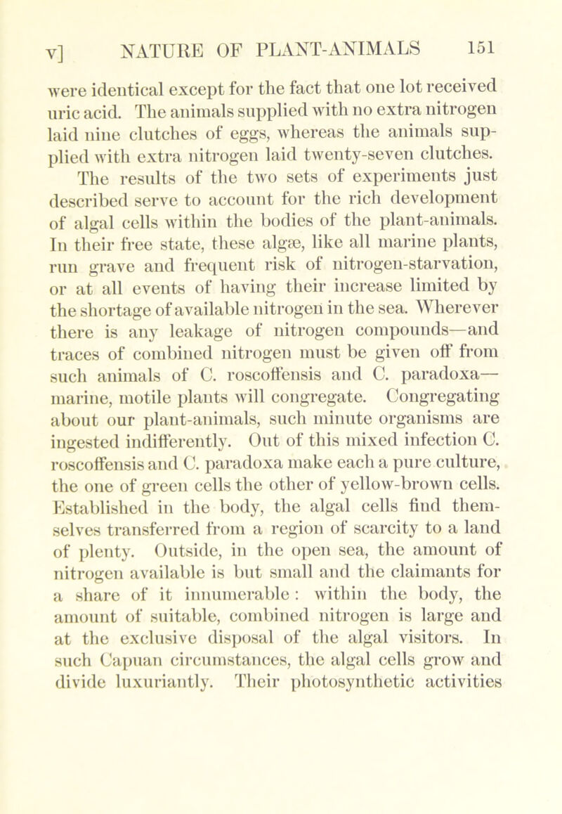 were identical except for the fact that one lot received uric acid. The animals supplied with no extra nitrogen laid nine clutches of eggs, whereas the animals sup- plied with extra nitrogen laid twenty-seven clutches. The results of the two sets of experiments just described serve to account for the rich development of algal cells within the bodies of the plant-animals. In their free state, these algse, like all marine plants, run grave and frequent risk of nitrogen-starvation, or at all events of having their increase limited by the shortage of available nitrogen in the sea. Wherever there is any leakage of nitrogen compounds—and traces of combined nitrogen must be given off from such animals of C. roscoffensis and C. paradoxa— marine, motile plants will congregate. Congregating about our plant-animals, such minute organisms are ingested indifferently. Out of this mixed infection C. roscoffensis and C. paradoxa make each a pure culture, the one of green cells the other of yellow-brown cells. Established in the body, the algal cells find them- selves transferred from a region of scarcity to a land of plenty. Outside, in the open sea, the amount of nitrogen available is but small and the claimants for a share of it innumerable: within the body, the amount of suitable, combined nitrogen is large and at the exclusive disposal of the algal visitors. In such Capuan circumstances, the algal cells grow and divide luxuriantly. Their photosynthetic activities