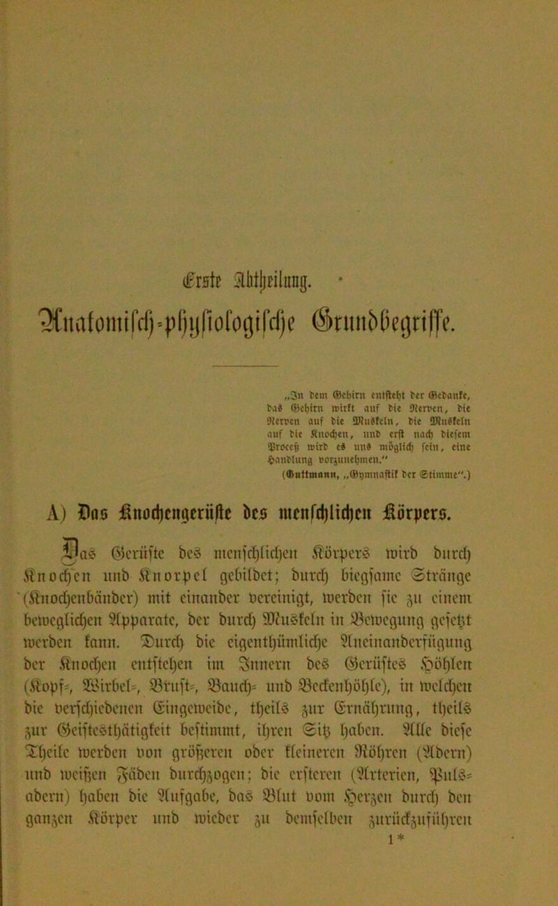 (Frstt SlMjjnlnog. * ^uafoiiti[Vfj-pI)ijftolo9ifd)e ökimMmjrilTc. „3n Sem ®chiru entfielt tcr ®ct>aufe, Ba3 ®cf)irn ii'irft auf Sie Sternen, I>ie SJtemn auf Me ÜJiuSfeln, Me ffltuMcfn auf Me jtnod)en, uni erfl uarf) Mefem Sßtocef) roirt> ci uns möglid) fein, eine i'auMung i'oi'juitchmcn. (föuttmnnu, „©tjmnaflif Bet Stimme.) A) tDns ßitodjcngeriiltc bcs menfdjlidjcit Hörpers. ©criiftc be§ men)d)lid)eit Körpers mirb burdj Stnodfcn unb Änorpcl gebilbet; burdj biegfamc (Stränge '(ßnodjenbänber) mit cinanbcr bereinigt, merben ftc 51t einem bemcgtidjcn Apparate, ber burdj ÜDhtäfeln in iöemcgung gefegt merben fann. ®urdj bie cigcnttjümlidjc $lneinonberfiigung ber Änodjcn eutftdjcn im Innern be§ ©erüfteS .fböfffen (.Stopfe, SSirbeR, 93ritfR, 93aitdj= unb 93cdcid)öl)(e), in mddjen bie nerfdjicbencn (iiitgemeibe, tljcilS jnr ©rnätjtung, tfjeilä äur ©ciftcötliätigfeit beftimmt, ibreit <Sip fjdbcn. Me biefe S£f)edc merben turn größeren ober Reineren Stötjren (Albern) unb meinen Reiben buref^ogen; bie elfteren (Arterien, ^id§* abern) tjaben bie Aufgabe, baö 33(ut turnt ^erjett burdj beit ganzen ftörper ttttb micbcr 51t betreiben jurüd^ufidjreit 1*