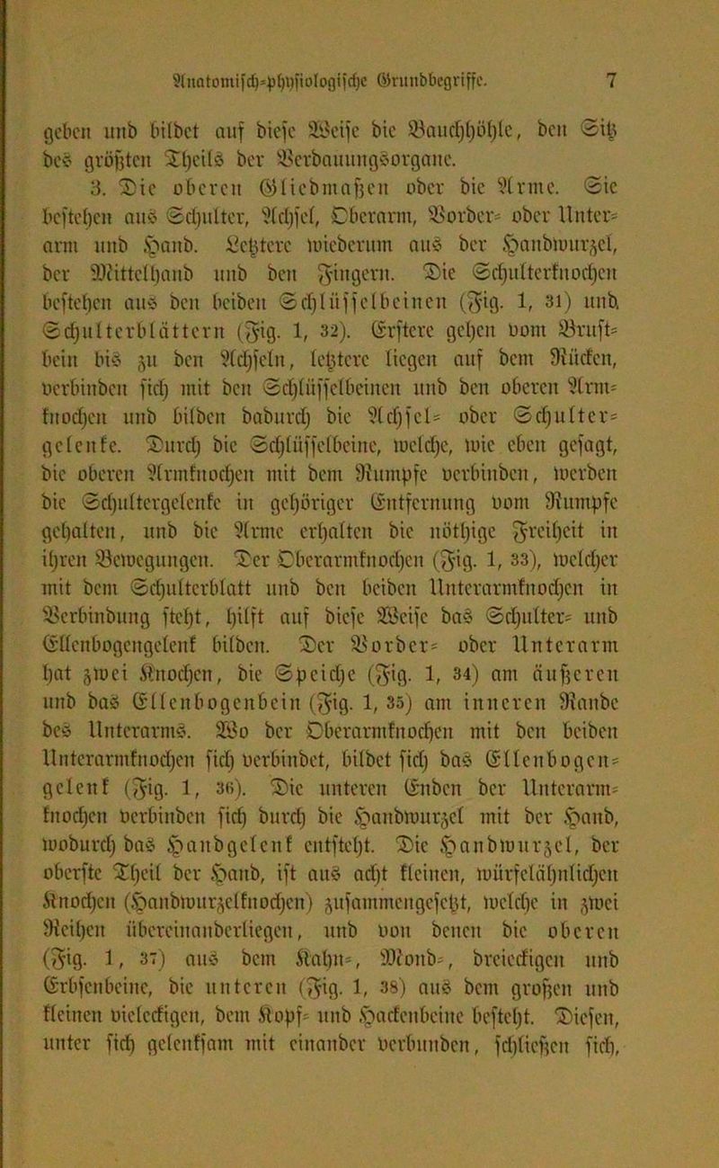 geben unb hübet auf biefc SBetfe bic 93autf)()of)le, beit SiU be* größten Gßcilg» bev SBerbauitngSorganc. 3. Gie oberen (531 iebniafjen ober bic 5h-me. Sic befteben au« Gepulter, Slcßfel, Oberarm, SSorbcr? ober Unter? arm unb §aitb. Septerc miebernm au8 ber Wanbtour^cl, ber tÜcittelbanb unb beit Ringern. Gie Sdjulterfnodjen befteben au« beit bcibeit 0d)lüffclbeincn ($ig. 1, 3t) unb. Sdjultcrblättcrn ($ig. 1, 32). Erftcre gelten uont Söruft? bettt big 51t ben Std)feln, letztere liegen auf bem fßiideit, oerbinben fid) mit beit Sdjlüffclbcitten unb ben oberen Sinn? fnodfen unb bilben baburdj bic Slchfcl* ober Schulter? geleitfe. Gurd) bie Sdjlüffelbeine, toeldje, luic eben gefagt, bie oberen Slrmhtodjen mit bem Rumpfe oerbinben, loerben bic Sd)ultergclcnfe in gehöriger Entfernung Oom Stumpfe gebalten, unb bic Sinne erhalten bic nötige Freiheit in il}ren ©etoegungen. Ger Dberarmfnodjen ($ig. 1, 33), toeldjer mit bem Schulterblatt unb beit beiben Unterarmfnochen in SSerbinbung fteßt, hilft auf biefc Sßeife ba§ Sdjulter? unb Gllcnbogcngeleitf bilben. Ger Sßoröer? ober Unterarm bat gtt>ei Stnocßcn, bie Speidje ($ig. 1, 34) am äußeren unb ba» Ellenbogenbein ($ig- 1, 35) am inneren Staube bc* Unterarms. üföo ber Obcrarmfnochcn mit beit beiben Unterarmfnodjen fid) Oerbinbet, bilbet fid) baS Ellenbogen? geleitf (^ig. 1, 3«). Gie unteren Ettben ber Unterarm? fnodjen Oerbinben fid) bind) bie Smnbtourjel mit ber Jpattb, luoburcß baS Sbaitbgclcnf entfloßt. Gic ^>anblour§el, ber oberfte Gßeil ber S>attb, ift auö ad)t fleinen, loürfclähnlidjett Äinodjctt (Stanbmur^elfttodjcn) jufammcugefcht, toclcßc in jtoci Steißen überciitanberliegen, unb oott bcneit bic oberen ($ig. 1, 37) attö bem Stabil?, sDtonb?, brciecfigcit ttitb Erbfenbeittc, bie unteren ($ig. 1, 38) auö bem großen unb fleittett oiclecfigen, bem Stopf? unb Wadenbeine befteßt. Gicfctt, unter fid) gelcttffam mit eittaitbcr Ocrbuitbcn, fd)licßctt fiel),