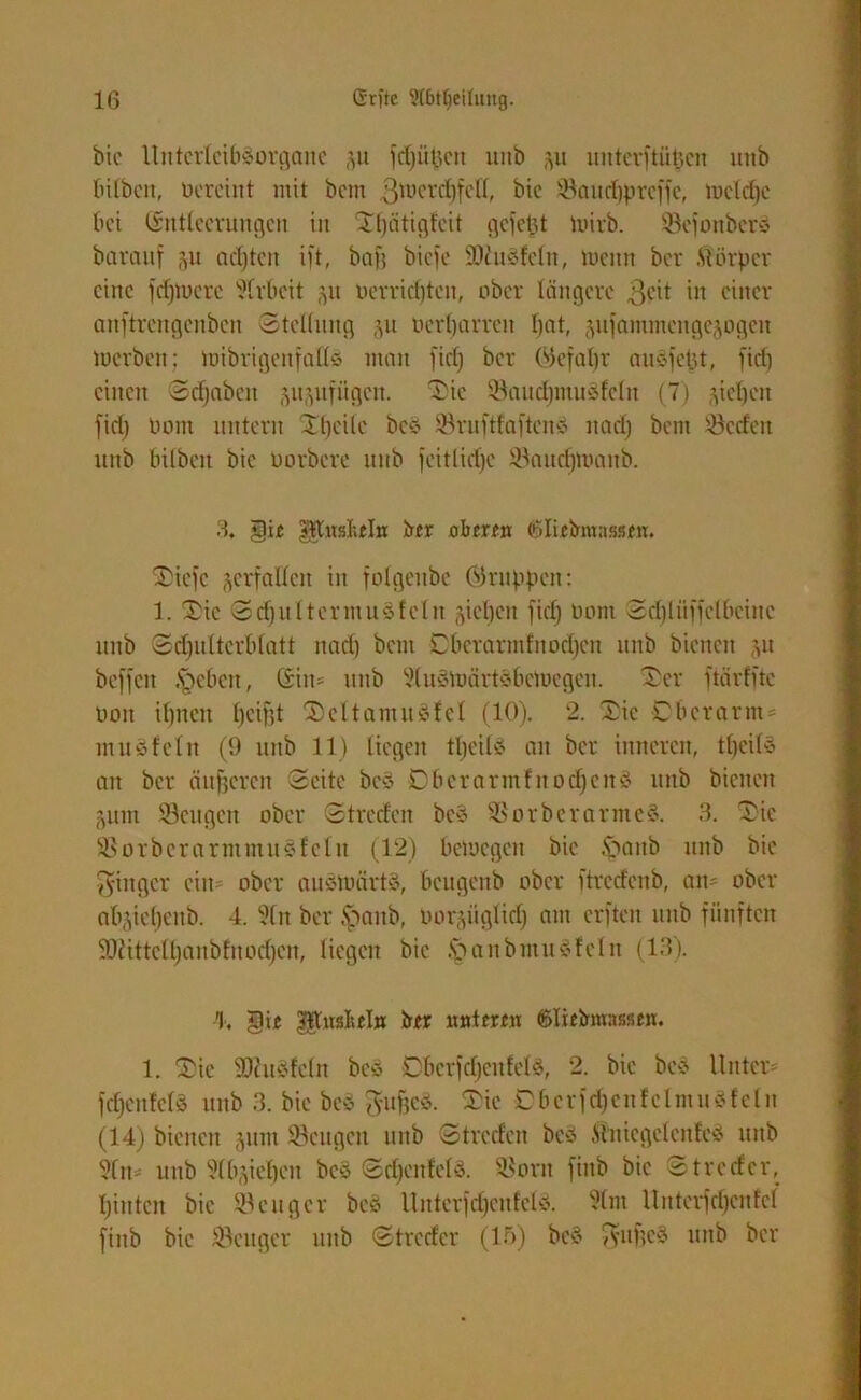 bic Uittcrlcibßorgaite su fdjüfjctt mtb j\u intterftüfcen imb bilben, Hereint mit bent ßtoerdtfell, btc Söaurf)prcffe, toeldje bet (Sntlecrungcn in Slfätigfcit gefegt ipirb. Sefottberß barauf ju achten ift, baf? biefe fOcitöfeln, meint ber Körper eine fdjmcrc Arbeit 51t Perrid)ten, ober längere ßcit in einer anftrengenben Stellung oerljarrcn Ijat, jufammcngejDgcn merben; toibrigenfallß mein fiel) ber ©efaljr außfefjt, fid) einen Sdjaben gujufügcit. Sie Saudjmußfeln (7) ^ieljen fid) oont nntern Xt)cilc beß Sruftfaftcnß ttad) bent XBccfen uttb bilben bic Uorbcre ttttb feitlidje Saitdjmaitb. 3. gKnsMir t3ti oberen ®Iifbraass<«. Siefe verfallen in folgenbe ©nippen: 1. Sic Sdjnltcr muß feilt sieben fid) Pont Sd)liiffclbcinc itttb Schulterblatt nad) bent Oberarmfnodjen mtb bienen ju beffcit ,'öebcn, (£iit* mtb 9(ußmärtßbcmcgcit. Ser ftärfftc üoit ilpten l)cifft Seltantußfcl (10). 2. Sic Oberarm* muß fein (9 mtb 11) liegen tljeilß an ber inneren, tf)cilß an ber äußeren Seite beß Dbcrarmfuodjeitß uttb bienen Stint Seligen ober Streden beß Sorberarmeß. 3. Sic Sorbcrarntntußfclit (12) bemegett bic Ipattb unb bic ginger ein ober außtoärtß, beugenb ober ftrcdcnb, an* ober absiebcitb. 4. ?(n ber ipanb, Porsüglid) am erften ttttb fünften 9J2ittcll)anbfnod)Ctt, liegen bie .s>anbmnßfelit (13). 4, gi« ^usslteln trer «ntcrfn (Blicbmassen. 1. Sie ÜDhtßfeln beß Cbcrfdjcitfelß, 2. bic beß Unter* fd)ettfcfß uttb 3. bie beß gußeß. Sic Ober f d) c n f e 1 nt unfein (14) bienen sunt Seugen mtb Streden beß Muicgclenfeß mtb 91it* uttb ‘ülbsiebcit beß Sd)cttfclß. Sorn finb bic Strcdcr, ßinten bie Senger beß Unterfd)cnfelß. Urtterfcfjenfel finb bie Seliger uttb Strcdcr (15) beß gttftcß mtb ber