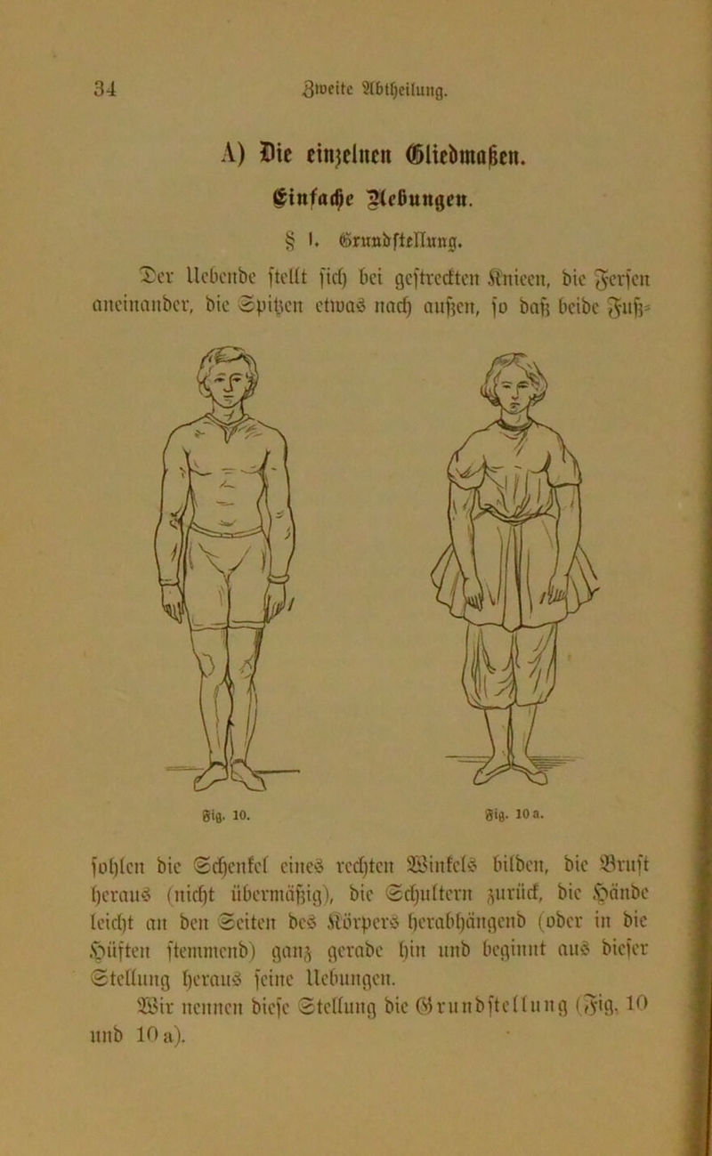 A) Die einzelnen (Sliebmaßen. (Sinfadje ^(cßungeit. § I. (Snmbftfllmig. ®er llobcnbc fteUt ft cf) bei geftredten ftnicen, bic Werfen ancinanbcr, bic ©piften ettoaö ttaef) aufjeit, fo baff beibe $ufj* fofjfcn bic Sd)cnfcf eines redeten SBinfclS hüben, bic $ruft fjcrauS (iticf)t übermäßig), bic ©djuftern jurücf, bic §anbc lcid)t an beit ©eiten beS Äövperö berabbehtgenb (ober in bic &uiftcn ftemmcnb) gang gcrabc bin mtb beginnt aus biefer ©tettnng beraub feine Hebungen. 933ir nennen biefe Steifung bie ©runbfteffitng (5tg, 10 unb 10 a).