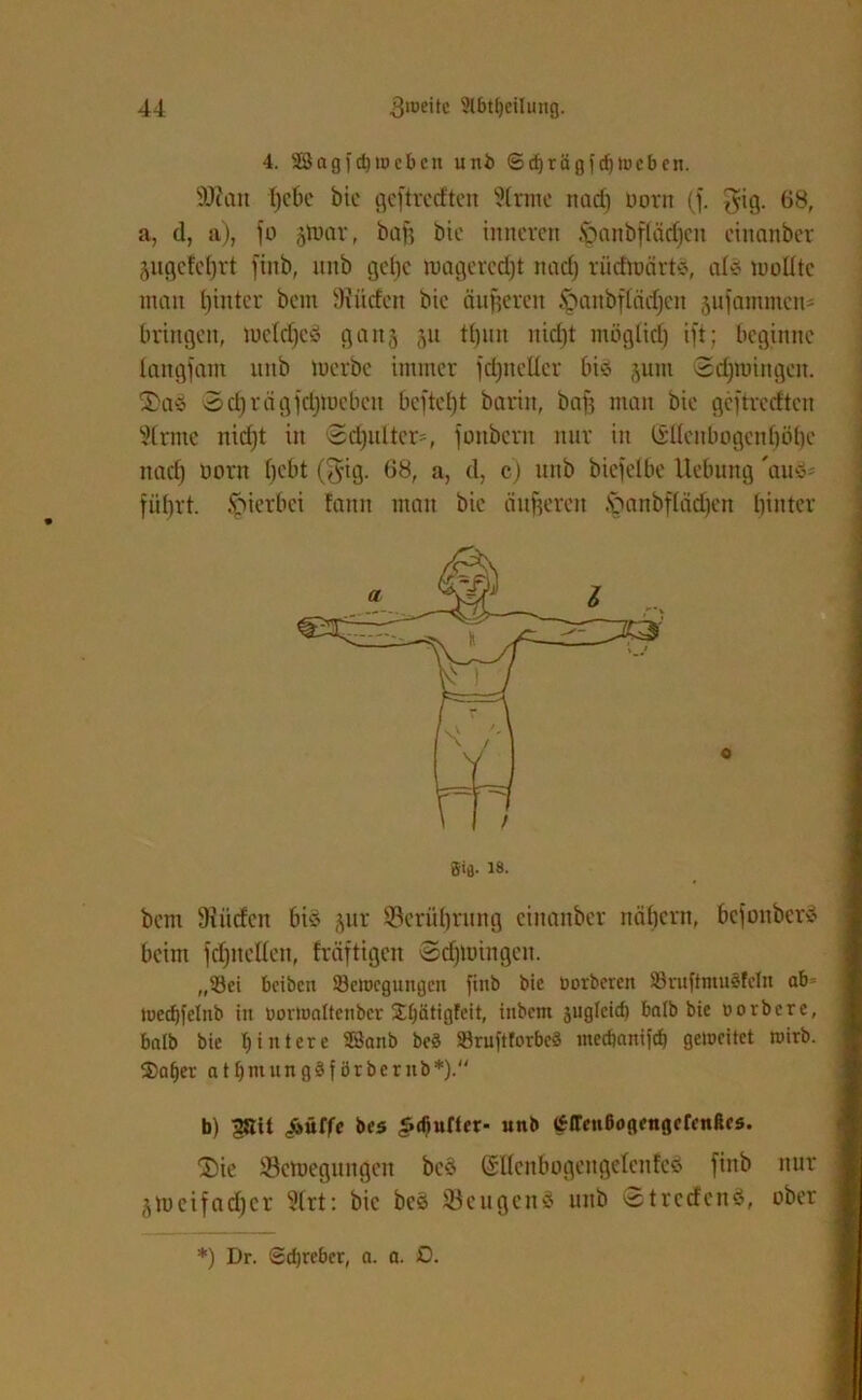 4. 2öagfd)wcbcn unb ©d)rägfd)Weben. 9)iau hebe bic geftrcdtcn 5(rme nad) Dorn (f. gig. 68, a, d, a), fo gtoar, baf) btc inneren §anbf(äd£)en eittanber jugctefjrt finb, unb gefjc raagercdjt nad) rütfmärts, al$ moUtc man hinter bem dürfen bie änderen ^anbftädjen jufammens bringen, lueldjcS gang gn tbnn nid)t mögüdj ift; beginne langfam unb tuerbe immer fdjnefler bi$ jum ©djroingen. 2>a$ Sdjrägfdjiocben beftcl)t barin, baff man bie geftreeften Strme nid)t in ©djulters, fonbern nur in (£IIcnbogenf)iH)c nad) Dorn bebt ($ig. 68, a, d, c) unb biefelbe Hebung 'auö* führt, hierbei fantt man bie änderen .\?anbfläd)en hinter Sifl- 18. bem Siiirfcn bis §ur Berührung ciitanber nähern, bcjoitbers beim fdfitclfen, fräftigen ©djünngen. „Bei bcibcit Bewegungen finb bic öorberen Bruftmuäfcln ab= Wedjfelnb in öorwattenber 2d)ätigfeit, inbeni juglctd) bntb bie uorbere, halb bic Ijintere SBanb beö BruftlorbcS mec&anifcb geweitet wirb. 3)af)er attjmungSförbcritb*). b) pit pfiffe bcs Jidjufter* unb prcnbogengcfenßcs. Tue Scmeguitgen bed (SHcnbogengelcnfcä finb nur ^tucifacf)er 3(rt: bic be§ 33eugen8 unb @trccfcn3, ober *) Dr. Sdjrc&cr, a. a. O.