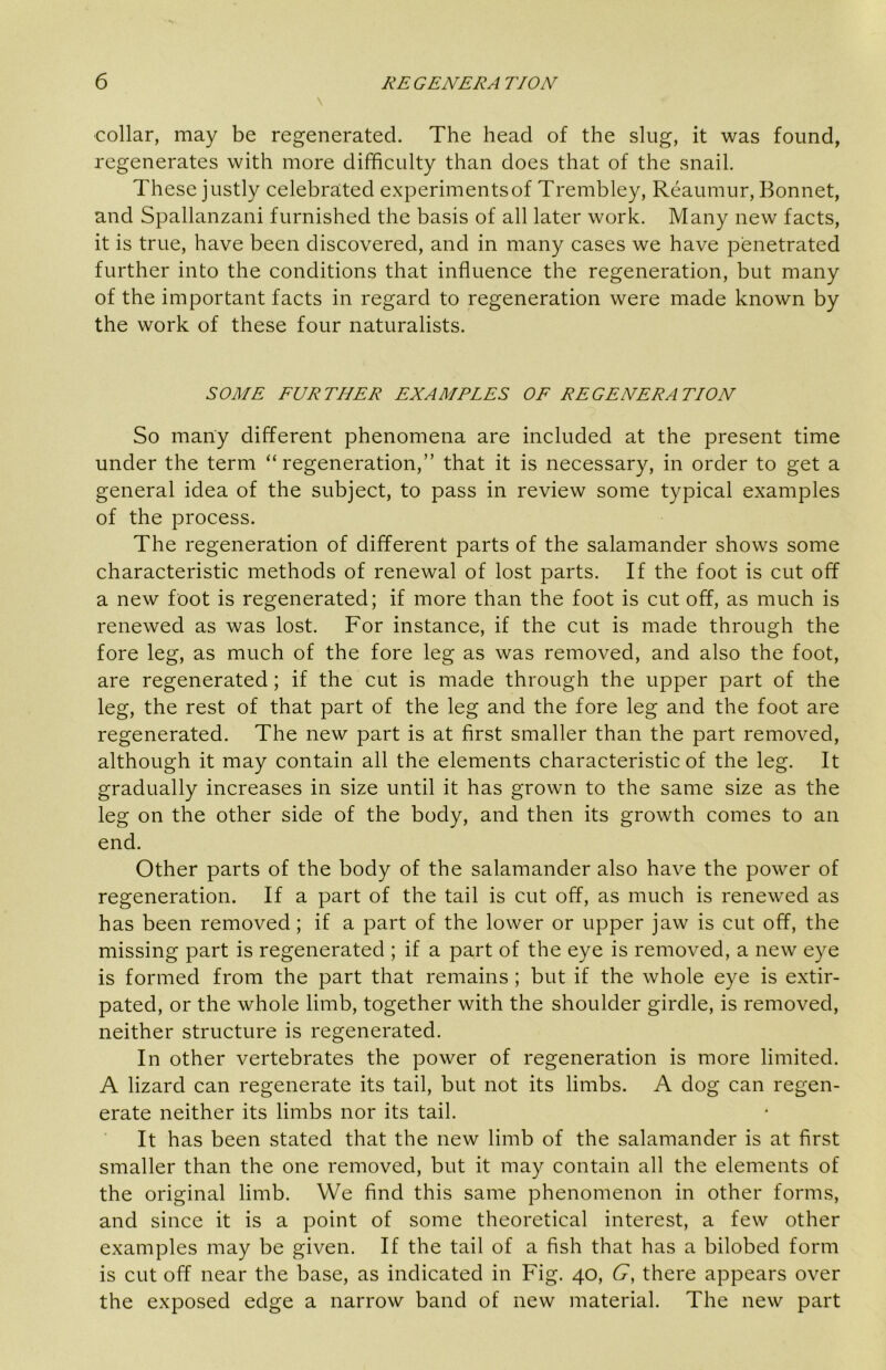 collar, may be regenerated. The head of the slug, it was found, regenerates with more difficulty than does that of the snail. These justly celebrated experiments of Trembley, Reaumur, Bonnet, and Spallanzani furnished the basis of all later work. Many new facts, it is true, have been discovered, and in many cases we have penetrated further into the conditions that influence the regeneration, but many of the important facts in regard to regeneration were made known by the work of these four naturalists. SOME FURTHER EXAMPLES OF REGENERATION So many different phenomena are included at the present time under the term “ regeneration,” that it is necessary, in order to get a general idea of the subject, to pass in review some typical examples of the process. The regeneration of different parts of the salamander shows some characteristic methods of renewal of lost parts. If the foot is cut off a new foot is regenerated; if more than the foot is cut off, as much is renewed as was lost. For instance, if the cut is made through the fore leg, as much of the fore leg as was removed, and also the foot, are regenerated; if the cut is made through the upper part of the leg, the rest of that part of the leg and the fore leg and the foot are regenerated. The new part is at first smaller than the part removed, although it may contain all the elements characteristic of the leg. It gradually increases in size until it has grown to the same size as the leg on the other side of the body, and then its growth comes to an end. Other parts of the body of the salamander also have the power of regeneration. If a part of the tail is cut off, as much is renewed as has been removed; if a part of the lower or upper jaw is cut off, the missing part is regenerated ; if a part of the eye is removed, a new eye is formed from the part that remains; but if the whole eye is extir- pated, or the whole limb, together with the shoulder girdle, is removed, neither structure is regenerated. In other vertebrates the power of regeneration is more limited. A lizard can regenerate its tail, but not its limbs. A dog can regen- erate neither its limbs nor its tail. It has been stated that the new limb of the salamander is at first smaller than the one removed, but it may contain all the elements of the original limb. We find this same phenomenon in other forms, and since it is a point of some theoretical interest, a few other examples may be given. If the tail of a fish that has a bilobed form is cut off near the base, as indicated in Fig. 40, G, there appears over the exposed edge a narrow band of new material. The new part