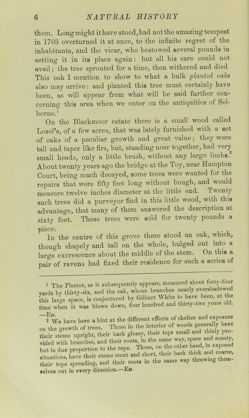 them. Long might it have stood, had not the amazing tempest in 1703 overturned it at once, to the infinite regret of the inhabitants, and the vicar, who bestowed several pounds in setting it in its place again: but all his care could not avail; the tree sprouted for a time, then withered and died This oak I mention to show to what a bulk planted oaks also may arrive: and planted this tree must certainly have been, as will appear from what will be said further con- cerning this area when we enter on the antiquities of Sel- borne.1 On the Blackmoor estate there is a small wood called LoseTs, of a few acres, that was lately furnished with a set of oaks of a peculiar growth and great value; they were tall and taper like firs, but, standing near together, had very small heads, only a little brush, without any large limbs.2 About twenty years ago the bridge at the Toy, near Hampton Court, being much decayed, some trees were wanted for the repairs that were fifty feet long without bough, and would measure twelve inches diameter at the little end. Twenty such trees did a purveyor find in this little wood, with this advantage, that many of them answered the description at sixty feet. These trees were sold for twenty pounds a piece. In the centre of this grove there stood an oak, which, though shapely and tall on the whole, bulged out into a large excrescence about the middle of the stem. On this a pair of ravens had fixed their residence for such a series of 1 The Plestor, as it subsequently appears, measured about forty-four yards by thirty-six, and the oak, whose branches nearly overshadowed this large space, is conjectured by Gilbert Wlnte to have been, at the time when it was blown down, four hundred and thirty-two jcais o . HVe have here a hint at the different effects of shelter and exposure on the growth of trees. Those in the interior of woods generally have their stems upright, their bark glossy, their tops small and thinly p tided with branches, and their roots, in the same way, spare and scanty but in due proportion to the tops. Those, on the other hand, in exposed situations have their stems stout and short, their bark thick and coarse, S£ Tps spreading, and their roots in the same way throwing them- selves out in every direction.—Ed.