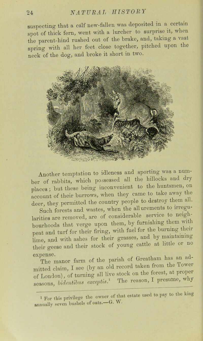 suspecting that a calf new-fallen was deposited in a certain spot of thick fern, went with a lurcher to surprise it, when the parent-liind rushed out of the brake, and, taking a vast spring with all her feet close together, pitched upon the neck of the dog, and broke it short in two. Another temptation to idleness and sporting was a num- ber of rabbits, which possessed all the hillocks and dry places ; but these being inconvenient to the huntsmen, on account of their burrows, when they came to take away the deer, they permitted the country people to destroy them all. Such forests and wastes, when the allurements to irregu- larities are removed, are of considerable service to neigh- bourhoods that verge upon them, by furnishing them with peat and turf for their firing, with fuel for the burning their lime, and with ashes for their grasses, and by maintaining their geese and their stock of young cattle at little or no 6 The manor farm of the parish of Greatham has an ad- mitted claim, I see (by an old record taken from the lower of London), of turning all live stock on the forest, at proper seasons, bidentibus exceptis.' The reason, I presume, why ' For this privilege the owner of that estate used to pay to the king annually seven bushels of oats.—Gr. AN •