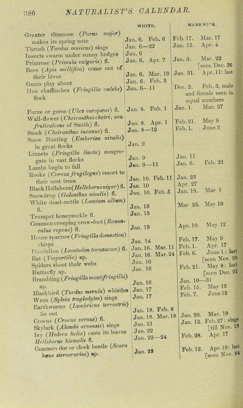 5586 Greater titmouse (Partis major) makes its spring note Thrush (Turdus musicus) sings Insects swarm under sunny hedges Primrose (Primula vulgaris) fl. Bees (Apis mellijica) come out of then- hives Gnats play about Hen chaffinches (Fringilla ccelebs) flock WHITE. Jan. 6. Feb. 6 Jan. 6—22 Jan. 6 Jan. 6. Apr. 7 MABKWIOK. Feb. 17. Jan. 15. Mar. 17 Apr. 4 Jan. 6. Jan. 6. Mar. Feb 19 3 Jan. 6- 11 Furze or gorse (Ulex europams) fl. Wall-flower (Cheiranthus cheiri; seu fruticulosus of Smith) fl. Stock (Cheiranthus incanus) fl. Snow Bimting (Emberiza nivalis) in great flocks Linnets (Fringilla linota) congre- gate in vast flocks Lambs begin to fall Rooks (Corvus frugilegus) resort to their nest trees Black Ue11ebore(Helleborus niger) fl. Snowdrop (Galanthus nivalis) fl. White dead-nettle (Lamium album) fl. Trumpet honeysuckle fl. Common creeping crow-foot (Ratiun- I cuius repens) fl. House sparrow (Fringilladomestica) chirps Dandelion (Leontodon taraxacum) fl. Bat ( Vespertilio) ap. Spiders shoot their webs Butterfly ap. Brambling (Fringilla montifrmgiUa) ap. Blackbird (Turdus merula) whistles Wren (Sylvia troglodytes) sings Earthworms (Lumbricus terrestris) lie out Crocus (Crocus vernus) A Skylark (Alauda arvensis) sings Ivy (Hedera helix) casts its leaves Tlr.ll.ehorus hiemalis fl. Common dor or clock beetle (Scara baus stercorarius) ap. Jan. 8. Feb. 1 Jan. 3. Mar. 22 [[seen Dec. 30 Jan. 31. Apr. 11: last Dec. 2. Feb. 3, male and female seen in ecjual numbers Jan. 1. Mar. 27 Jan. 8. Jan. 8- Jan. 9 Jan. 9 Jan. 9— Jan. 10. Jan. 10 Jan. 10. Jan. 13 Jan.13 Jan. 13 Jan. 14 Jan.16. Jan.16. Jan.16 Jan. 16 Jan. 16 I Jan. 17 Jan. 17 1 Jan. 18. | Jan. 18. Jan. 21 Jan. 22 Jan. 22 Jan. 28 Apr. 1 -12 -11 Feb.11 Feb. 5 Feb. 21. Feb. 1. Jan. 11 Jan. 6. May 9 June 3 Feb. 21 Jan. 23 Apr. 27 Jan. 18. Mar 1 Mar 23. May 10 Apr. 10. May 12 Mar. 11 Mar. 24 Feb. 17. Feb. 1. Feb. 6. Feb. 8 Mar. 18 — 24 May 9 Apr. 17 June 1 : la8* [seen Nov. 20 Feb. 21. May 8: last [seen Dec. 22 Jan. 10—31 Feb. 15. May 13 Feb.7. June 12 Jan. 20. Mar. 19 Jan. 12. Feb. 27: sings [till Nov. 13 Feb. 28. Apr. 17 Feb. 12. Apr. 19: la*1 | [seen Nov. 24