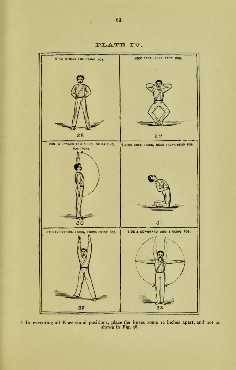 IFXjJ^TIE IV. WING STRIDE IOE STANO P03. NECK REST, KNEE BEND POS. 29 FOR. 4 UPWARD ARM FLING, OR RAISING, POSITIONS. “f WING KNEE STAND, REAR TRUNK BEND POS. 31 6TRETCH STRIDE STAND, TRUNK TWIST POS. 32 SIDE 4 DOWNWARD ARM SINKING POS. + In executing all Knee-stand positions, place the knees some 12 inches apart, and not as shewn in Fig. 38.