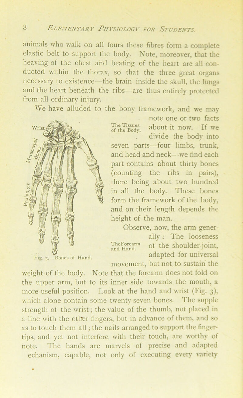 animals who walk on all fours these fibres form a complete elastic belt to support the body. Note, moreover, that the heaving of the chest and beating of the heart are all con- ducted within the thorax, so that the three great organs necessary to existence—the brain inside the skull, the lungs and the heart beneath the ribs—are thus entirely protected from all ordinary injury. We have alluded to the bony framework, and we may weight of the body. Note that the forearm does not fold on the upper arm, but to its inner side towards the mouth, a more useful position. Look at the hand and wrist (Fig. 3), which alone contain some twenty-seven bones. The supple strength of the wrist; the value of the thumb, not placed in a line with the otlfcr fingers, but in advance of them, and so as to touch them all ; the nails arranged to support the finger- tips, and yet not interfere with their touch, are worthy of note. The hands are marvels of precise and adapted echanism, capable, not only of executing every variety note one or two facts divide the body into seven parts—four limbs, trunk, and head and neck—we find each part contains about thirty bones (counting the ribs in pairs), there being about two hundred in all the body. These bones form the framework of the body, and on their length depends the height of the man. Fig. 3,—leones of Hand. Observe, now, the arm gener- ally : The looseness Ji!d riand™ shoulder-joint, adapted for universal movement, but not to sustain the