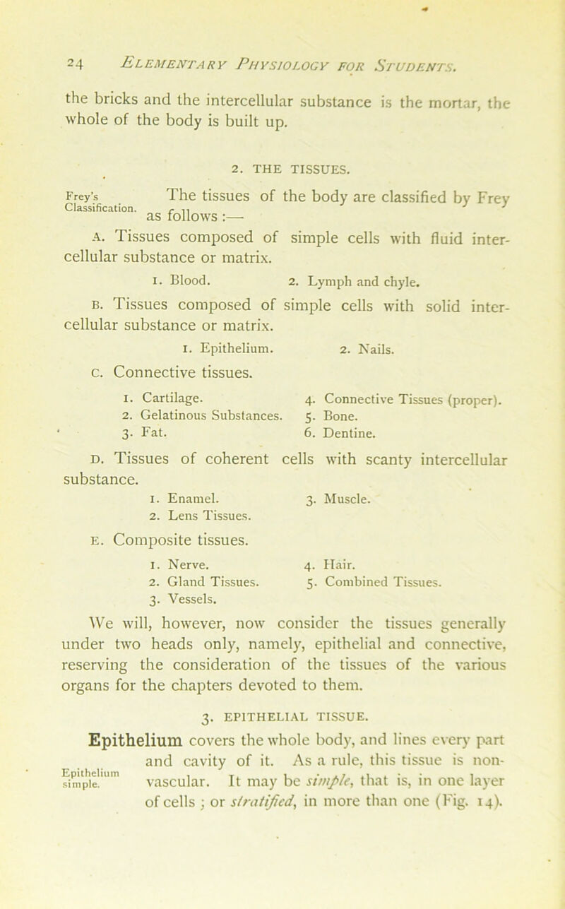 the bricks and the intercellular substance is the mortar, the whole of the body is built up. Frey’s Classification. 2. THE TISSUES. The tissues of the body are classified by Frey as follows :— A. Tissues composed of simple cells with fluid inter- cellular substance or matrix. I. Blood. 2. Lymph and chyle. B. Tissues composed of simple cells with solid inter- cellular substance or matrix. I. Epithelium. 2. Nails, c. Connective tissues. 1. Cartilage. 4. Connective Tissues (proper). 2. Gelatinous Substances. 5. Bone. 3- Fat. 6. Dentine. D. Tissues of coherent cells with scanty intercellular substance. 1. Enamel. 3. Muscle. 2. Lens Tissues. E. Composite tissues. 1. Nerve. 4. Hair. 2. Gland Tissues. 5. Combined Tissues. 3. Vessels. We will, however, now consider the tissues generally under two heads only, namely, epithelial and connective, reserving the consideration of the tissues of the various organs for the chapters devoted to them. 3. EPITHELIAL TISSUE. Epithelium covers the whole body, and lines every part and cavity of it. As a rule, this tissue is non- fim'pie*'”’ vascular. It may be simple, that is, in one layer of cells ; or slratijicd, in more than one (Fig. 14).