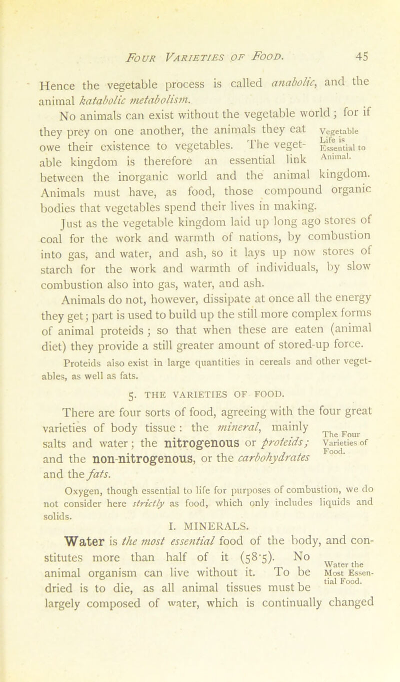 Hence the vegetable process is called atiabolic, and the animal katabolic metabolism. No animals can exist without the vegetable world; for if they prey on one another, the animals they eat vegetable owe their existence to vegetables. The veget- Essential to able kingdom is therefore an essential link Ammai. between the inorganic world and the animal kingdom. Animals must have, as food, those compound organic bodies that vegetables spend their lives in making. Just as the vegetable kingdom laid up long ago stores of coal for the work and warmth of nations, by combustion into gas, and water, and ash, so it lays up now stores of starch for the work and warmth of individuals, by slow combustion also into gas, water, and ash. Animals do not, however, dissipate at once all the energy they get; part is used to build up the still more complex forms of animal proteids ; so that when these are eaten (animal diet) they provide a still greater amount of stored-up force. Proteids also exist in large quantities in cereals and other veget- ables, as well as fats. 5. THE VARIETIES OF FOOD. There are four sorts of food, agreeing with the four great varieties of body tissue ; the mineral, mainly salts and water; the nitrogenous or proteids; Varieties of and the non-nitrogenous, or the carbohydrates and the fats. Oxygen, though essential to life for purposes of combustion, we do not consider here strictly as food, which only includes liquids and solids. I. MINERALS. Water is the most essential food of the body, and con- stitutes more than half of it (58’5). No • ~ 1 W.aterthe animal organism can live without it. To be Most Essen- dried is to die, as all animal tissues must be ° largely composed of wqter, which is continually changed