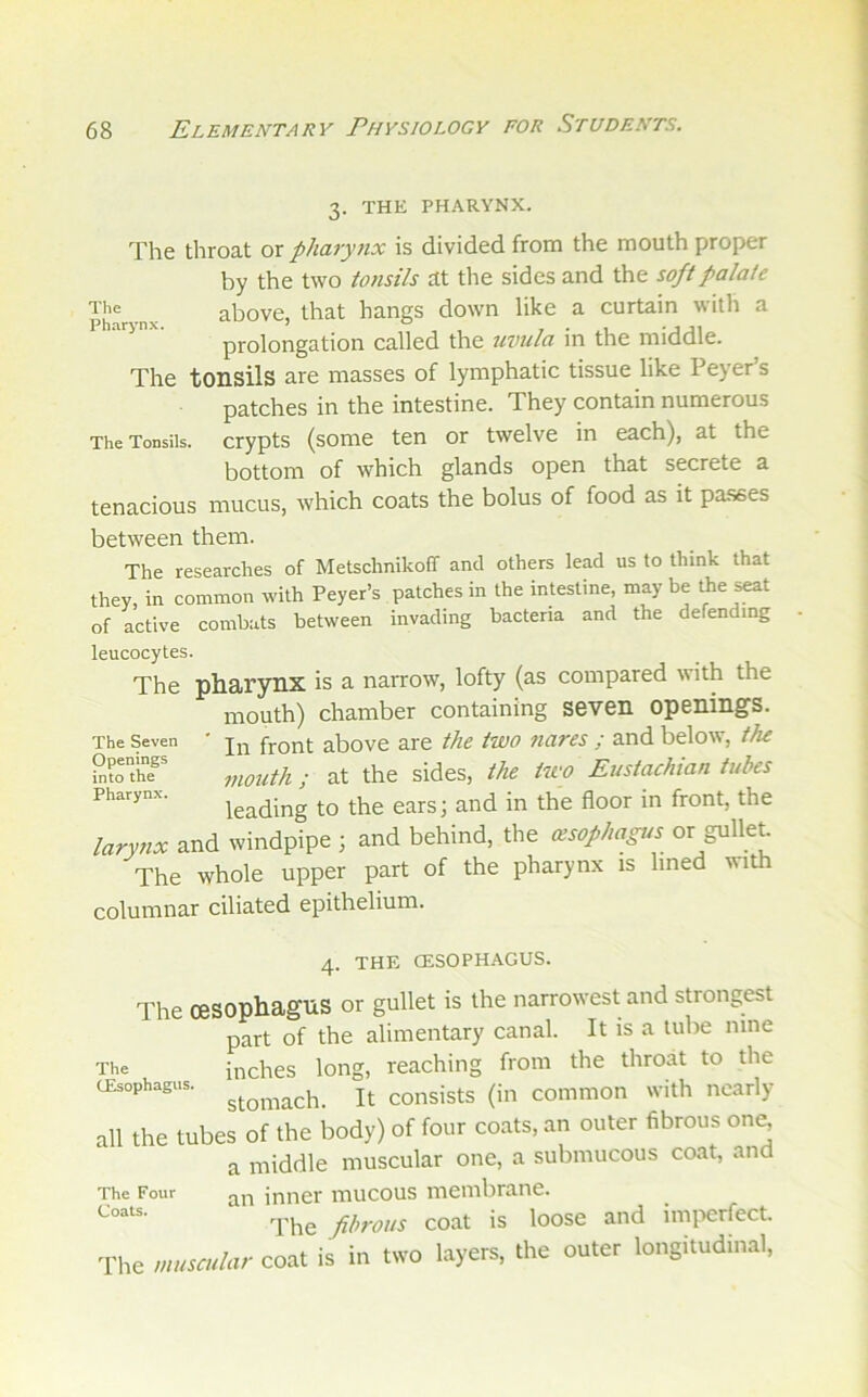 3. THE PHARYNX. The throat or pharynx is divided from the mouth proper by the two to7isils at the sides and the soft palate Phari-nx above, that hangs down like a curtain witli a prolongation called the tivula in the middle. The tonsils are masses of lymphatic tissue like Peyers patches in the intestine. They contain numerous The Tonsils, crypts (some ten or twelve in each), at the bottom of which glands open that secrete a tenacious mucus, which coats the bolus of food as it passes between them. The researches of Metschnikoff and others lead us to think that they, in common with Peyer’s patches in the intestine, may be Ae seat of active combats between invading bacteria and the defending leucocytes The pharynx is a narrow, lofty (as compared with the mouth) chamber containing seven openings. In front above are the two nares ; and below, the mouth ; at the sides, the two Eustachian tubes leading to the ears; and in the floor in front, the larynx and windpipe ; and behind, the (esophagus or gullet The whole upper part of the pharynx is lined with The Seven Openings into the Pharynx. columnar ciliated epithelium. 4. THE (ESOPHAGUS. The oesophagus or gullet is the narrowest and strongest part of the alimentary canal. It is a tube nine The inches long, reaching from the throat to the (Esophagus. consists (ill common with nearly all the tubes of the body) of four coats, an outer fibrous on^ a middle muscular one, a submucous coat, and The Four an inner mucous membrane. The fibrous coat is loose and imi>erfect. The muscular coat is in two layers, the outer longitudinal.