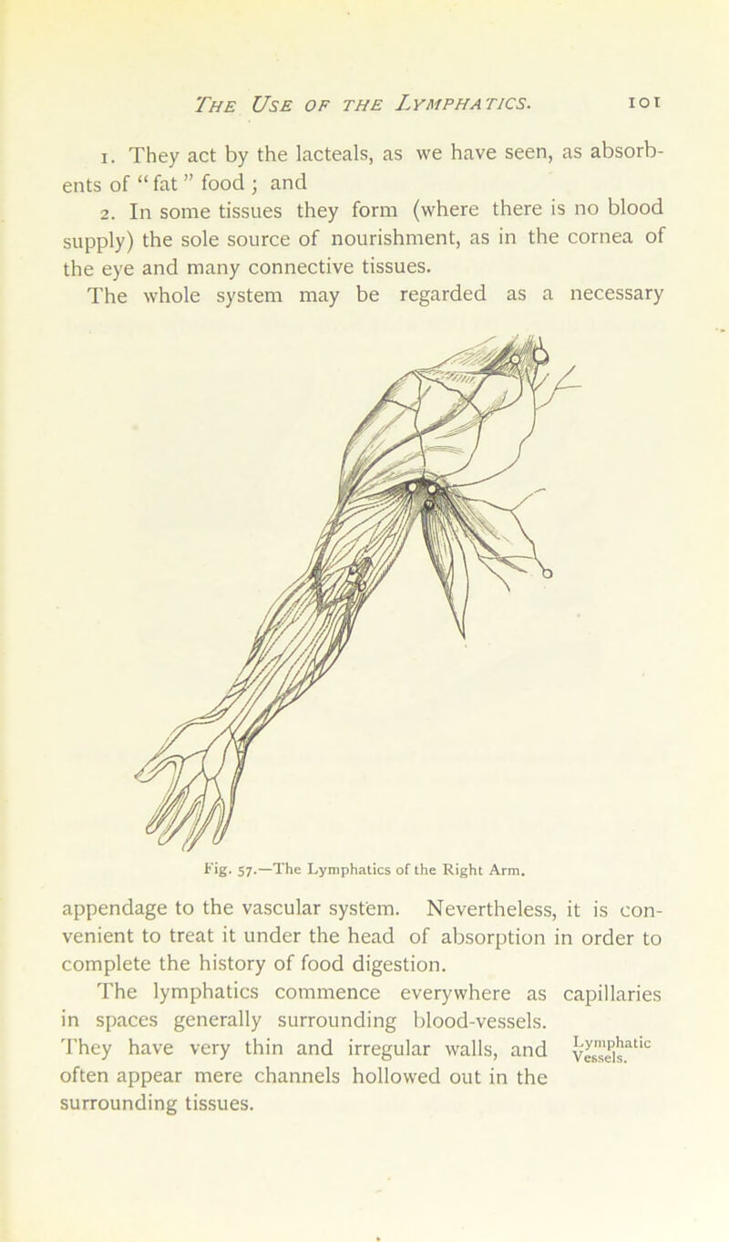 The Use of the Lymphatics. lot 1. They act by the lacteals, as we have seen, as absorb- ents of “ fat ” food ; and 2. In some tissues they form (where there is no blood supply) the sole source of nourishment, as in the cornea of the eye and many connective tissues. The whole system may be regarded as a necessary ^ 57-—The Lymphatics of the Right Arm, appendage to the vascular system. Nevertheless, it is con- venient to treat it under the head of absorption in order to complete the history of food digestion. The lymphatics commence everywhere as capillaries in spaces generally surrounding blood-vessels. 'I'hey have very thin and irregular walls, and often appear mere channels hollowed out in the surrounding tissues.