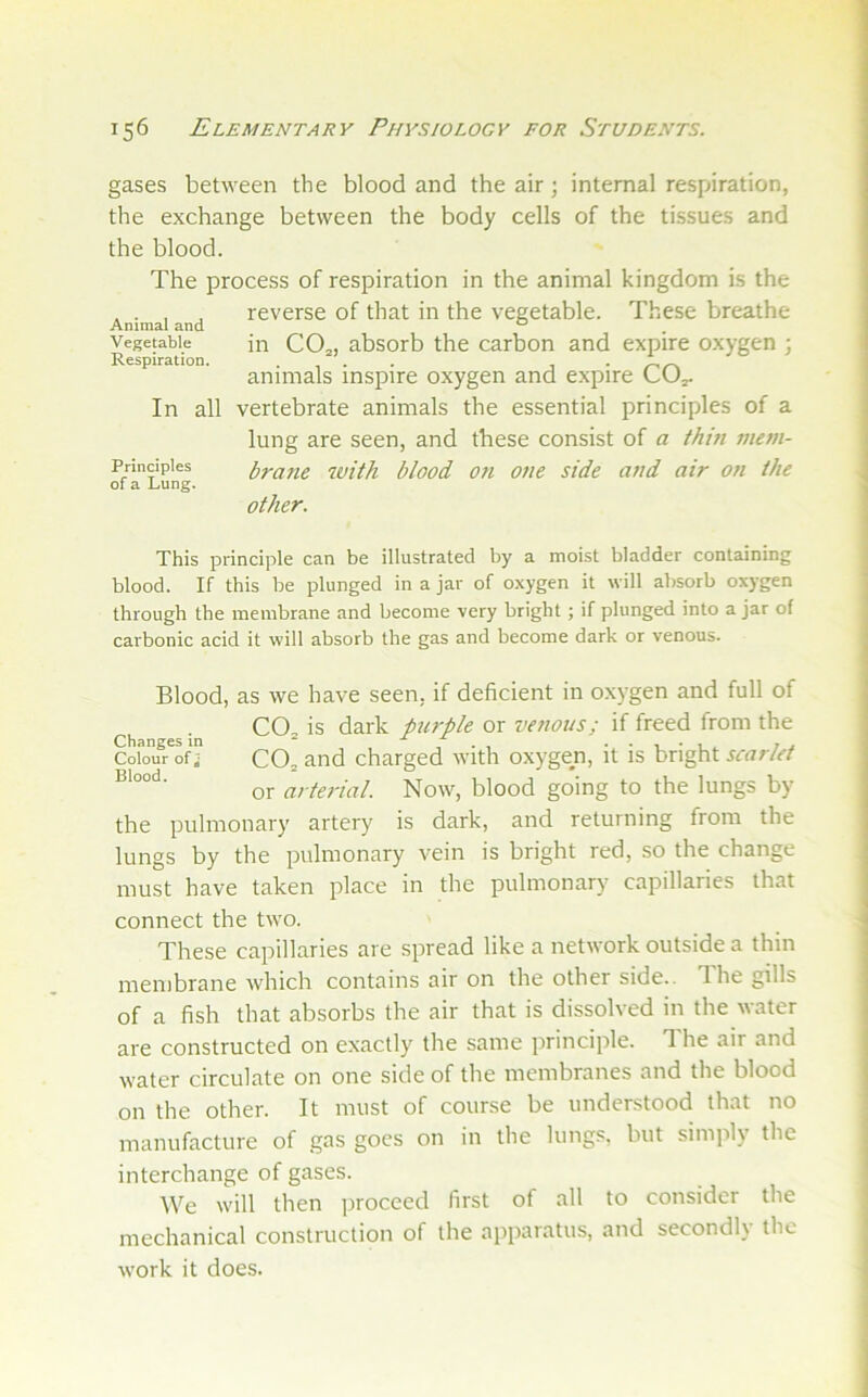 gases between the blood and the air; internal respiration, the exchange between the body cells of the tissues and the blood. The process of respiration in the animal kingdom is the ... ^ reverse of that in the vegetable. These breathe Animal and ° Vegetable in CO„ absorb the carbon and expire oxygen : Respiration. . . , - nr. animals inspire oxygen and expire CUj. In all vertebrate animals the essential principles of a lung are seen, and these consist of a thm mem- Principies bvaiie with blood on one side and atr on the of a Lung. other. This principle can be illustrated by a moist bladder containing blood. If this be plunged in a jar of oxygen it will absorb oxygen through the membrane and become very bright; if plunged into a jar of carbonic acid it will absorb the gas and become dark or venous. Blood, as we have seen, if deficient in oxygen and full of CO, is dark purple or venous; if freed from the Changes in ^ 1 ± Colour of j CO, and charged tvith oxygen, it is bright scarlet or arterial. Now, blood going to the lungs by the pulmonary artery is dark, and returning from the lungs by the pulmonary vein is bright red, so the change must have taken place in the pulmonary capillaries that connect the two. These capillaries are spread like a network outside a thin membrane which contains air on the other side.. T.he gills of a fish that absorbs the air that is dissolved in the water are constructed on exactly the same principle. The air and water circulate on one side of the membranes and the blood on the other. It must of course be understood that no manufacture of gas goes on in the lungs, but simjily the interchange of gases. We will then proceed first of all to consider the mechanical construction of the apparatus, and secondly the work it does.