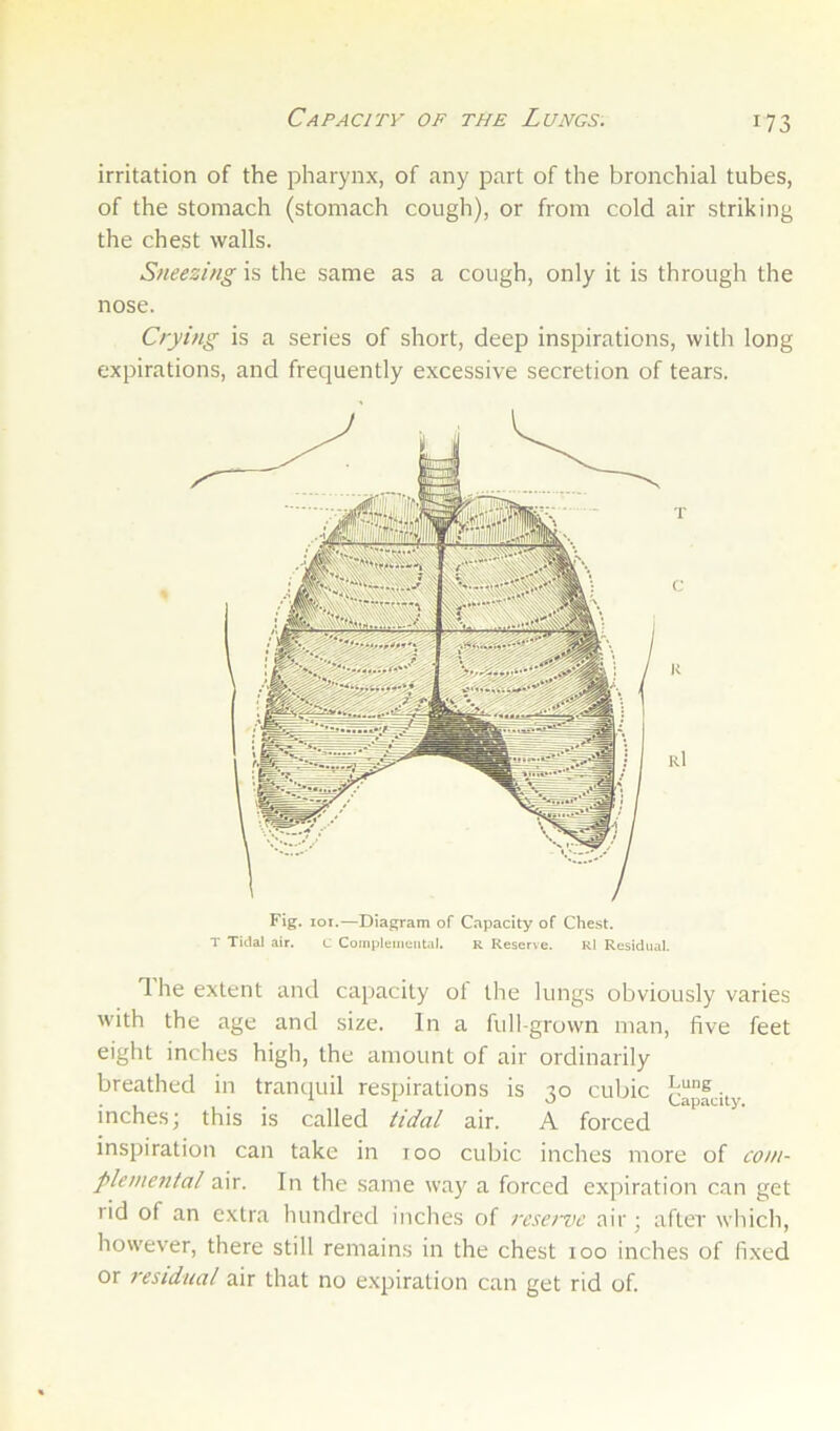 Capacity of the Lungs. irritation of the pharynx, of any part of the bronchial tubes, of the stomach (stomach cough), or from cold air striking the chest walls. Sneezing is the same as a cough, only it is through the nose. Crying is a series of short, deep inspirations, with long expirations, and frequently excessive secretion of tears. T K r1 Fig. lor.—Diagram of Capacity of Chest. T Tidal air, C Compleuieiitn). R Reserve. rI Residual. 1 he extent and capacity of the lungs obviously varies with the age and size. In a full-grown man, five feet eight inches high, the amount of air ordinarily breathed in tranquil respirations is 30 cubic J)“pfcity inches; this is called iidal air. A forced inspiration can take in 100 cubic inches more of coni- plemental air. In the same way a forced expiration can get rid of an extra hundred inches of reserve air; after which, however, there still remains in the chest loo inches of fixed or residual air that no expiration can get rid of.