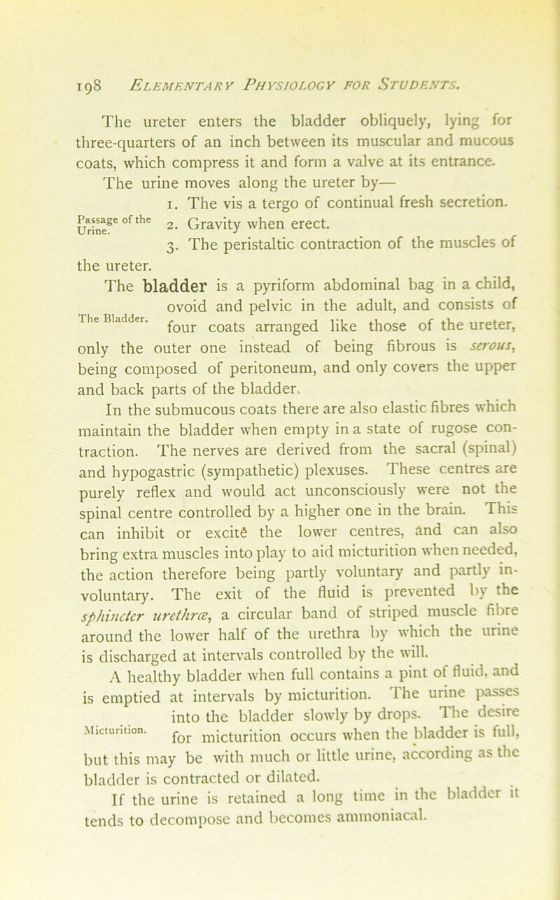 The ureter enters the bladder obliquely, lying for three-quarters of an inch between its muscular and mucous coats, which compress it and form a valve at its entrance. The urine moves along the ureter by— 1. The vis a tergo of continual fresh secretion. 2. Gravity when erect. 3. The peristaltic contraction of the muscles of Passage of the Urine. the ureter. The bladder is a pyriform abdominal bag in a child, ovoid and pelvic in the adult, and consists of The Bladder. coats arranged like those of the ureter, only the outer one instead of being fibrous is serous, being composed of peritoneum, and only covers the upper and back parts of the bladder. In the submucous coats there are also elastic fibres which maintain the bladder when empty in a state of rugose con- traction. The nerves are derived from the sacral (spinal) and hypogastric (sympathetic) plexuses. These centres are purely reflex and would act unconsciously were not the spinal centre controlled by a higher one in the brain. This can inhibit or excitd the lower centres, and can also bring extra muscles into play to aid micturition when needed, the action therefore being partly voluntary and partly in- voluntary. The exit of the fluid is prevented by the sphincter iirethrcE, a circular band of striped muscle fibre around the lower half of the urethra by which the urine is discharged at intervals controlled by the will. A healthy bladder when full contains a pint of fluid, and is emptied at intervals by micturition. The urine passes into the bladder slowly by drops. The desire Micturition. micturitioii occurs when the bladder is full, but this may be with much or little urine, according as the bladder is contracted or dilated. If the urine is retained a long time in the bladder it tends to decompose and becomes ammoniacal.