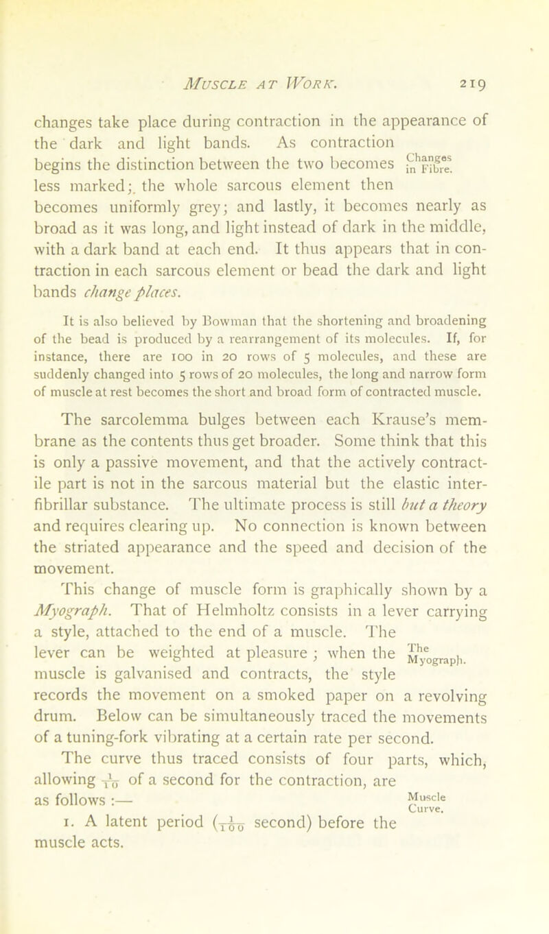 changes take place during contraction in the appearance of the dark and light bands. As contraction begins the distinction between the two becomes ;^'’rbre. less marked;, the whole sarcous element then becomes uniformly grey; and lastly, it becomes nearly as broad as it was long, and light instead of dark in the middle, with a dark band at each end. It thus appears that in con- traction in each sarcous element or bead the dark and light bands change places. It is also believed by Bowman that the shortening and broadening of the bead is produced by a rearrangement of its molecules. If, for instance, there are 100 in 20 rows of 5 molecules, and these are suddenly changed into 5 rows of 20 molecules, the long and narrow form of muscle at rest becomes the short and broad form of contracted muscle. The sarcolemma bulges between each Krause’s mem- brane as the contents thus get broader. Some think that this is only a passive movement, and that the actively contract- ile part is not in the sarcous material but the elastic inter- fibrillar substance. The ultimate process is still Init a theory and requires clearing up. No connection is known between the striated appearance and the speed and decision of the movement. This change of muscle form is graphically shown by a Myograph. That of Helmholtz consists in a lever carrying a style, attached to the end of a muscle. The lever can be weighted at pleasure ; when the muscle is galvanised and contracts, the style records the movement on a smoked paper on a revolving drum. Below can be simultaneously traced the movements of a tuning-fork vibrating at a certain rate per second. The curve thus traced consists of four parts, which, allowing Jjj of a second for the contraction, are as follows : Muscle Curve. I. A latent period second) before the muscle acts.