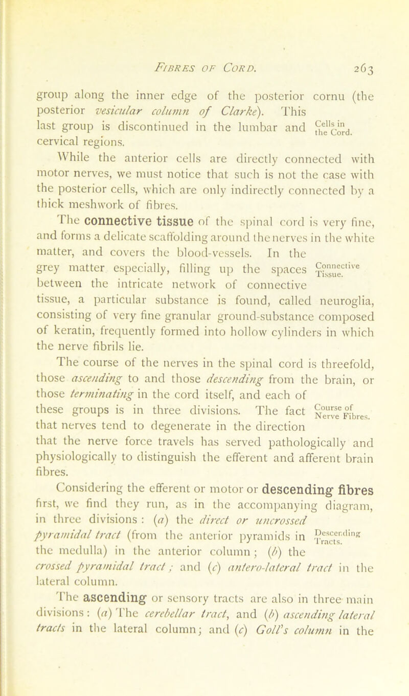 group along the inner edge of the posterior cornu (the posterior vesicular column of Clarke'). I'his last group is discontinued in the lumbar and [^e'cord cervical regions. While the anterior cells are directly connected with motor nerves, we must notice that such is not the case with the posterior cells, which are only indirectly connected by a thick meshwork of fibres. The connective tissue of the spinal cord is very fine, and forms a delicate scaffolding around the nerves in the white matter, and covers the blood-vessels. In the grey matter especially, filling up the spaces xissUr'^ between the intricate network of connective tissue, a particular substance is found, called neuroglia, consisting of very fine granular ground-substance composed of keratin, frequently formed into hollow cylinders in which the nerve fibrils lie. The course of the nerves in the spinal cord is threefold, those ascending to and those descending from the brain, or those ter7ninaiing in the cord itself, and each of these groups is in three divisions. The fact Serw Fibres that nerves tend to degenerate in the direction that the nerve force travels has served pathologically and physiologically to distinguish the efferent and afferent brain fibres. Considering the efferent or motor or descending fibres first, we find they run, as in the accompanying diagram, in three divisions : (a) the direct or uncrossed pyramidal trad (from the anterior pyramids in the medulla) in the anterior column ; if>) the crossed pyramidal tract; and ic) antero-latcral tract in the lateral column. The ascending or sensory tracts are also in three main divisions : {a) 'I'he cerebellar tract, and {l>) ascending lateral tracts in the lateral column; and if) Golfs column in the