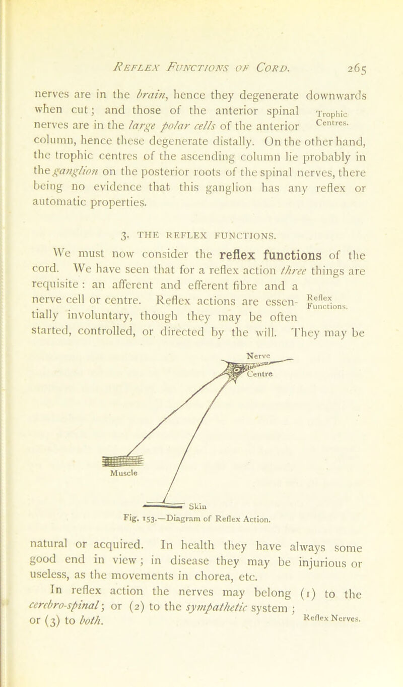 nerves are in the brain, hence they degenerate downwards when cut; and those of the anterior spinal Trophic nerves are in the large polar cells of tlie anterior Centres, column, hence these degenerate distally. On the other hand, the trophic centres of the ascending column lie probably in ganglion on the posterior roots of tlie spinal nerves, there being no evidence that this ganglion has any reflex or automatic properties. 3. THE REFLEX FUNCTIONS. AVe must now consider the reflex functions of the cord. We have seen that for a reflex action three things are requisite : an afferent and efferent f bre and a nerve cell or centre. Reflex actions are essen- tially involuntary, though they may be often started, controlled, or directed by the will, d’hey may be Fig. T53.—Diagram of Reflex Action. natural or acquired. In health they have always some good end in view; in disease they may be injurious or useless, as the movements in chorea, etc. In reflex action the nerves may belong (r) to the cerebrospinal; or (2) to the sympathetic system ; or (3) to both. Reflex Nerve.s.