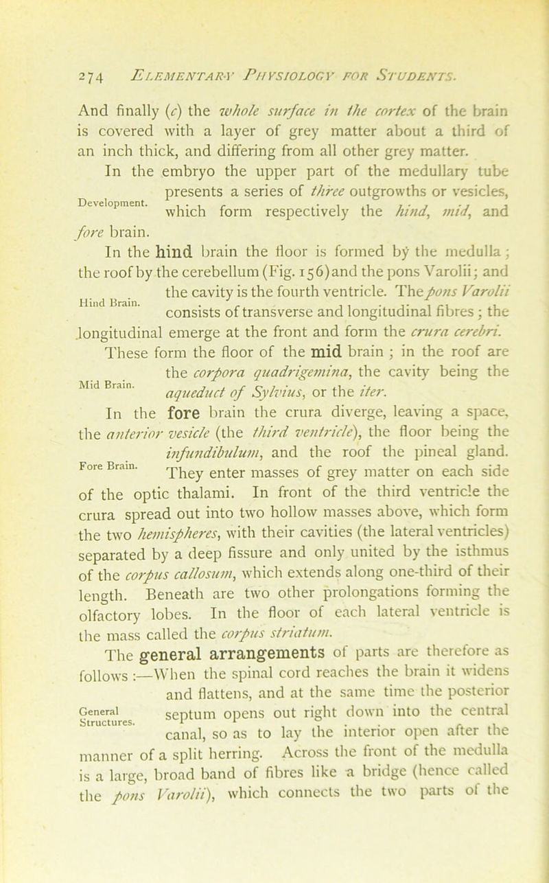 And finally {c) the whole surface ut ihe cortex of the brain is covered with a layer of grey matter about a third of an inch thick, and differing from all other grey matter. In the embryo the upper part of the medullary tube presents a series of three outgrowths or vesicles, Development, form respectively the hi7id, mid, and Hind Brain. Mid Brain. Fore Brain. fore brain. In the hind, brain the floor is formed by the medulla; the roof by the cerebellum (Fig. i56)and the pons Varolii; and the cavity is the fourth ventricle. The pons Varolii consists of transverse and longitudinal fibres; the longitudinal emerge at the front and form the cnera cerebri. These form the floor of the mid brain ; in the roof are the corpora quadrigemina, the cavity being the aqueduct of Sylvius, or the iter. In the fore brain the crura diverge, leaving a space, the anterior vesicle (the third ventricle), the floor being the hfundibtdum, and the roof the pineal gland. They enter masses of grey matter on each side of the optic thalami. In front of the third ventricle the crura spread out into two hollow masses above, which form the two hemispheres, with their cavities (the lateral ventricles) separated by a deep fissure and only united by the isthmus of the corpus callosum, which extends along one-third of their length. Beneath are two other prolongations forming the olfactory lobes. In the floor of each lateral ventricle is the mass called the corpus striatum. The general arrangements of parts are therefore as follows :—When the spinal cord reaches the brain it widens and flattens, and at the same time the posterior General seotum opeiis out right down into the central Structures. 1 ‘ , , • • .1 canal, so as to lay the interior open after the manner of a split herring. Across the front of the medulla is a large, broad band of fibres like a bridge (hence called the pons Varolii), which connects the two parts of tlie