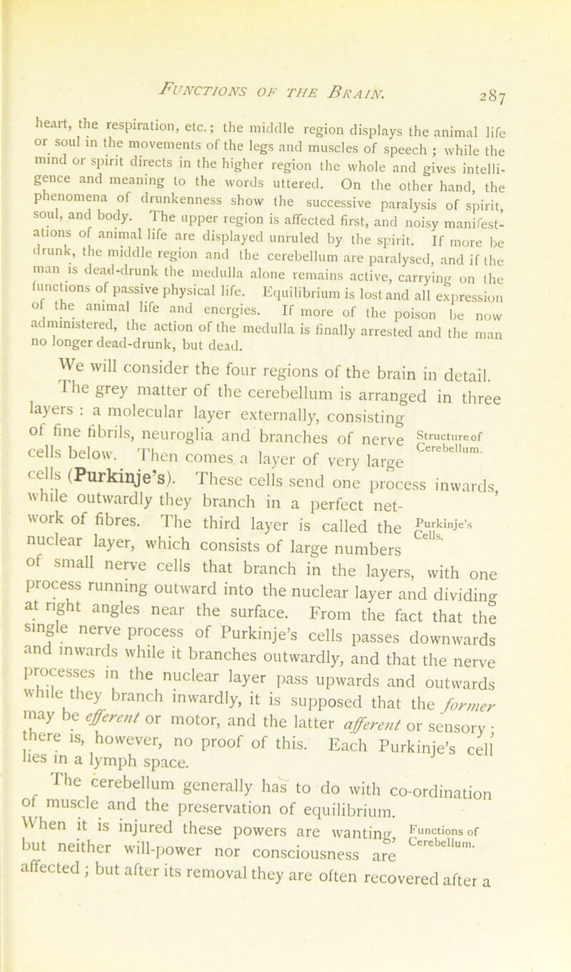 AIN. 287 heait, the respiration, etc.; the middle region displays the animal life or soul in the movements of the legs and muscles of speech ; while the mmd or spirit directs in the higher region the whole and gives intelli- gence and meaning to the words uttered. On the other hand, the p enomena of drunkenness show the successive paralysis of spirit, soul, and body. The upper region is affected first, and noisy manifest- ations of animal life are displayed unruled by the spirit. If more be drunk, the middle region and the cerebellum are paralysed, and if the man is dead-drunk the medulla alone remains active, carrying on the fmictions of passive physical life. Equilibrium is lost and all ex.iression of the animal life and energies. If more of the poison be now administered, the action of the medulla is finally arrested and the no longer dead-drunk, but dead. man We will consider the four regions of the brain in detail. The grey matter of the cerebellum is arranged in three layers ; a molecular layer externally, consisting of fine fibrils, neuroglia and branches of nerve Structureof cells below. I'hen comes, a layer of very large cells (Purkinje’s). These cells send one process inwards while outwardly they branch in a perfect net- work of fibres. The third layer is called the ^“‘kinje’.s nuclear layer, which consists of large numbers of small neiwe cells that branch in the layers, with one process running outward into the nuclear layer and dividin<x at right angles near the surface. From the fact that the single nerve process of Purkinje’s cells passes downwards and inwards while it branches outwardly, and that the nerve processes m the nuclear layer pass upwards and outwards while they branch inwardly, it is supposed that the fanner may be efferent or motor, and the latter afferent or sensory • here is, however, no proof of this. Each Purkinie’s cell lies m a lymph space. The cerebellum generally has to do with co-ordination ot^ muscle and the preservation of equilibrium. hen it is injured these powers are wanting Functions of but neither will-power nor consciousness are affected ; but after its removal they are often recovered after a