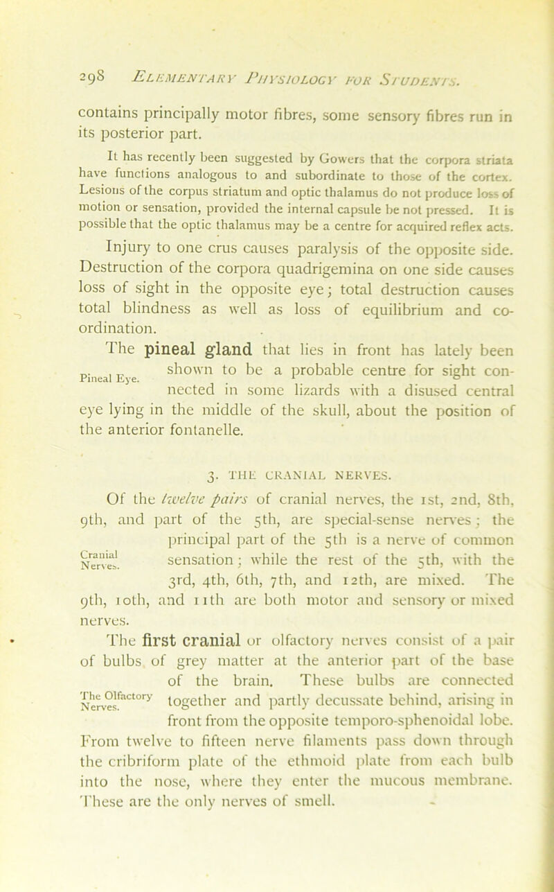 contains principally motor fibres, some sensory fibres run in its posterior part. It has recently been suggested by Gowers that the corpora striata have functions analogous to and subordinate to those of the cortex. Lesions of the corpus striatum and optic thalamus do not produce loss of motion or sensation, provided the internal capsule be not pressed. It is possible that the optic thalamus may be a centre for acquired reflex acts. Injury to one crus causes paralysis of the opposite side. Destruction of the corpora quadrigemina on one side causes loss of sight in the opposite eye; total destruction causes total blindness as well as loss of equilibrium and co- ordination. The pineal g'land that lies in front has lately been Pineal Eye showit to be a probable centre for sight con- nected in some lizards with a disused central eye lying in the middle of the skull, about the position of the anterior fontanelle. 3. THU CR.ANIAL NERVES. Of the livelve pairs of cranial nerves, the ist, 2nd, 8th, 9th, and part of the 5 th, are special-sense neiwes ; the principal part of the 5th is a nerve of common NTrvei. sensation; while the rest of the 5th, with the 3rd, 4th, 6th, 7th, and 12th, are mixed. The 9th, 10th, and nth are both motor and sensory or mixed nerves. The first cranial or olfactory nerves consist of a ]>air of bulbs of grey matter at the anterior part of the base of the brain. These bulbs are connected together and jiartly decu-ssate behind, arising in front from the opposite temporo-sphenoidal lobe. From twelve to fifteen nerve filaments pass down through the cribriform plate of the ethmoid plate from each bulb into the nose, where they enter the mucous membrane. 'I'hese are the only nerves of smell.