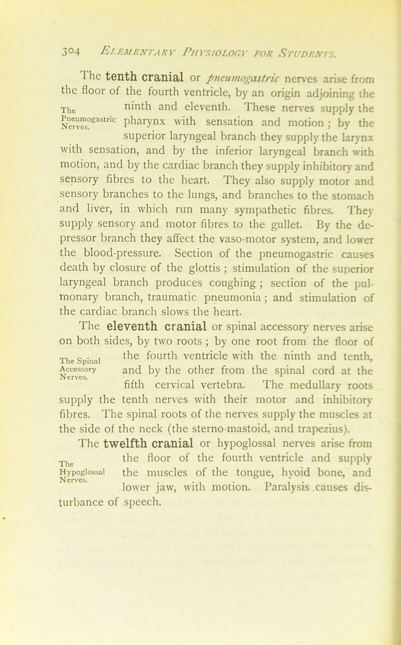 The tenth cranial or pneumogasiric nerves arise from the floor of the fourth ventricle, by an origin adjoining the The ninth and eleventh. These nerves supply the pharynx with sensation and motion; by the superior laryngeal branch they supply the lar>Tix with sensation, and by the inferior laryngeal branch with motion, and by the cardiac branch they supply inhibitory and sensory fibres to the heart. They also supply motor and sensory branches to the lungs, and branches to the stomach and liver, in which run many sympathetic fibres. They supply sensory and motor fibres to the gullet. By the de- pressor branch they alfect the vaso-motor system, and lower the blood-pressure. Section of the pneumogastric causes death by closure of the glottis ; stimulation of the superior laryngeal branch produces coughing; section of the pul- monary branch, traumatic pneumonia; and stimulation of the cardiac branch slows the heart. The eleventh cranial or spinal accessory nenes arise on both sides, by two roots; by one root from the floor of the fourth ventricle with the ninth and tenth, and by the other from the spinal cord at the fifth cervical vertebra. The medullary roots supply the tenth nerves with their motor and inhibitor)- fibres. The spinal roots of the nerv^es supply the muscles at the side of the neck (the sterno mastoid, and trapezius). The twelfth cranial or hypoglossal nerves arise from the floor of the fourth ventricle and supply the muscles of the tongue, hyoid bone, and lower jaw, with motion. Paralysis causes dis- turbance of speech. The Spinal Accessory Nerves. The Hypoglossal N erves.