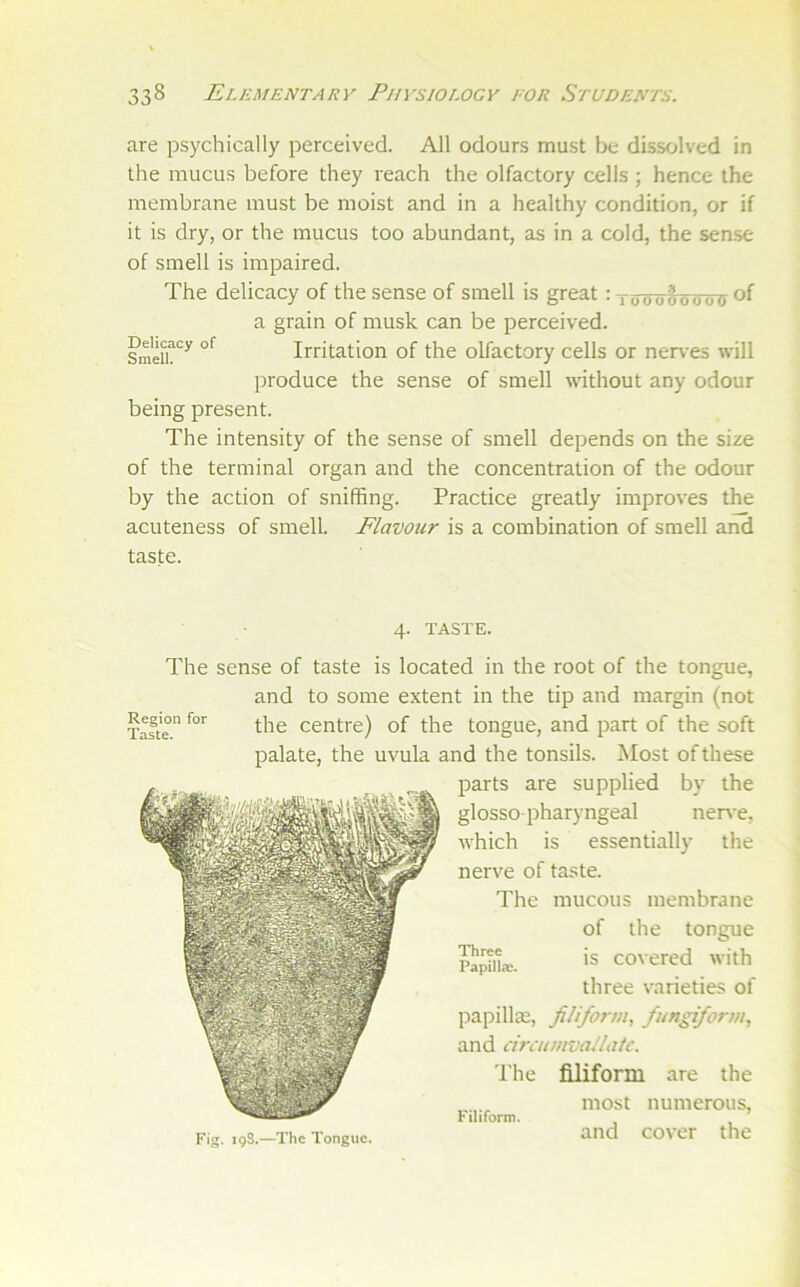 are psychically perceived. All odours must be dissolved in the mucus before they reach the olfactory cells ; hence the membrane must be moist and in a healthy condition, or if it is dry, or the mucus too abundant, as in a cold, the sense of smell is impaired. The delicacy of the sense of smell is great : toooooooo ®f a grain of musk can be perceived. Irritation of the olfactory cells or nen-es will produce the sense of smell without any odour being present. The intensity of the sense of smell depends on the size of the terminal organ and the concentration of the odour by the action of sniffing. Practice greatly improves the acuteness of smell. Flavour is a combination of smell and taste. Delicacy of Smell. 4. TASTE. Region for Taste. The sense of taste is located in the root of the tongue, and to some extent in the tip and margin (not the centre) of the tongue, and part of the soft palate, the uvula and the tonsils. Most of these parts are supplied by the glossopharyngeal nerve, which is essentially the nerve of taste. The mucous membrane of the tongue is covered with three varieties of papillse, filiform, fungiform, and circumvaUatc. 'Pile filiform are the most numerous. Three Papillae. Filiform. Fig. igS.—The Tongue. and cover the