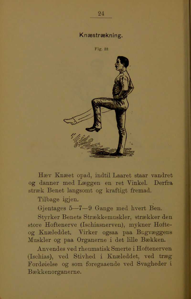Knæstrækning. Kig. 22 Hæv Knæet opad, indtil Laaret staar vandret og danner med Læggen en ret Vinkel. Derfra stræk Benet langsomt og kraftigt fremad. Tilbage igjen. Gjentages 5—7—9 Gange med hvert Ben. Styrker Benets Strækkemuskler, strækker den store Hoftenerve (Ischiasnerven), mykner Hofte- og Knæleddet. Vix'ker ogsaa paa Bogvæggens Mnskler og paa Organerne i det lille Bækken. Anvendes ved rheumatisk Smerte i Hoftenerven (Ischias), ved Stivhed i Knæleddet, ved træg Fordøielse og som foregaaende ved Svagheder i Bækkenorganerne.