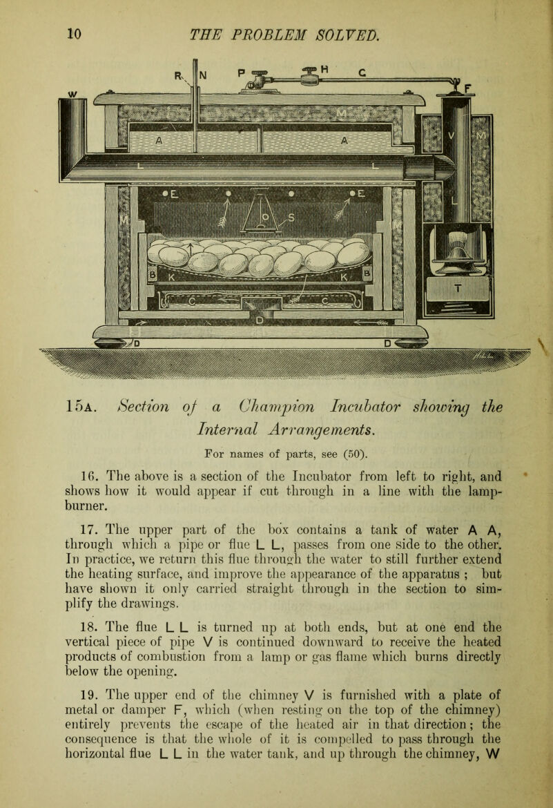 15a. Section of a Champion Incubator showing the Internal Arrangements. For names of parts, see (50). 16. The above is a section of the Incubator from left to right, and shows how it would appear if cut through in a line with the lamp- burner. 17. The upper part of the box contains a tank of water A A, through which a pipe or flue L L, passes from one side to the other. In practice, we return this flue through the water to still further extend the heating surface, and improve the appearance of the apparatus ; but have shown it only carried straight through in the section to sim- plify the drawings. 18. The flue L L is turned up at both ends, but at one end the vertical piece of pipe V is continued downward to receive the heated products of combustion from a lamp or gas flame which burns directly below the opening. 19. The upper end of the chimney V is furnished with a plate of metal or damper F, which (when resting on the top of the chimney) entirely prevents the escape of the heated air in that direction; the consequence is that the whole of it is compelled to pass through the horizontal flue L L in the water tank, and up through the chimney, W