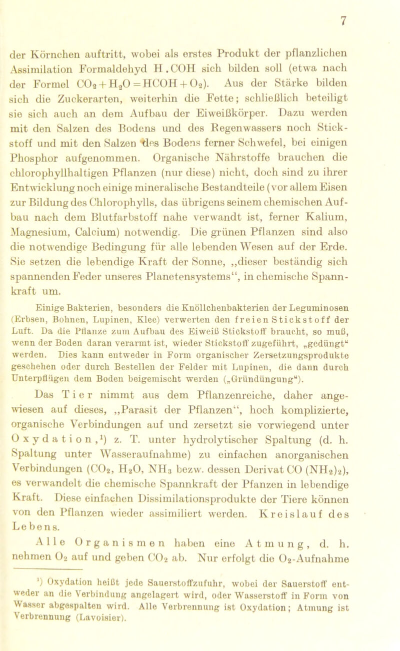 der Körnchen anftritt, wobei als erstes Produkt der pflanzlichen Assimilation Formaldehyd H. COH sich bilden soll (etwa nach der Formel CO9 + H^O =HCOH + O2). Aus der Stcärke bilden sich die Zuckerarten, weiterhin die Fette; schließlich beteiligt sie sich auch an dem Aufbau der Eiw'eißkörper. Dazu werden mit den Salzen des Bodens und des Regenwassers noch Stick- stoff und mit den Salzen tles Bodens ferner Schwefel, bei einigen Phosphor aufgenommen. Organische Nährstoffe brauchen die chlorophyllhaltigen Pflanzen (nur diese) nicht, doch sind zu ihrer Entwicklung noch einige mineralische Bestandteile (vor allem Eisen zur Bildung des Chlorophylls, das übrigens seinem chemischen Auf- bau nach dem Blutfarbstoff nahe verwandt ist, ferner Kalium, Magnesium, Calcium) notwendig. Die grünen Pflanzen sind also die notwendige Bedingung für alle lebenden Wesen auf der Erde. Sie setzen die lebendige Kraft der Sonne, ,,dieser beständig sich spannenden Feder unseres Planetensystems“, in chemische Spann- kraft um. Einige Bakterien, besonders die Knöllcbenbakterien der Leguminosen (Erbsen, Bohnen, Lupinen, Klee) verwerten den freien Stickst0ff der Luft. Da die Pflanze zum Aufbau des Eiweiß Stickstoff braucht, so muß, wenn der Boden daran verarmt ist, wieder Stiokstoft’ zugeführt, „gedüngt“ werden. Dies kann entweder in Form organischer Zersetzungsprodukte geschehen oder durch Bestellen der Felder mit Lupinen, die daun durch Dnterpflügen dem Boden beigemischt werden („Gründüngung“). Das Tier nimmt aus dem Pflanzenreiche, daher ange- wiesen auf dieses, ,,Parasit der Pflanzen“, hoch komplizierte, organische Verbindungen auf und zersetzt sie vorwiegend unter Oxydation,^) z. T. unter hydrolytischer Spaltung (d. h. Spaltung unter Wasseraufnahme) zu einfachen anorganischen Verbindungen (COj, H2O, NH3 bezw. dessen Derivat CO (NH2)2), es verwandelt die chemische Spannkraft der Pfanzen in lebendige Kraft. Diese einfachen Dissimilationsprodukte der Tiere können von den Pflanzen wieder assimiliert werden. Kreislauf des Lebens. Alle Organismen haben eine Atmung, d. h. nehmen O2 auf und geben CO2 ab. Nur erfolgt die ()2-Aufnahme ‘) Oxydation heißt jede Sauerstoffzufuhr, wobei der Sauerstoff ent- weder an die V'erbindung angelagert wird, oder Wasserstoff in Form von Wasser abgespalten wird. Alle Verbrennung ist Oxydation; Atmung ist Verbrennung (Lavoisier).