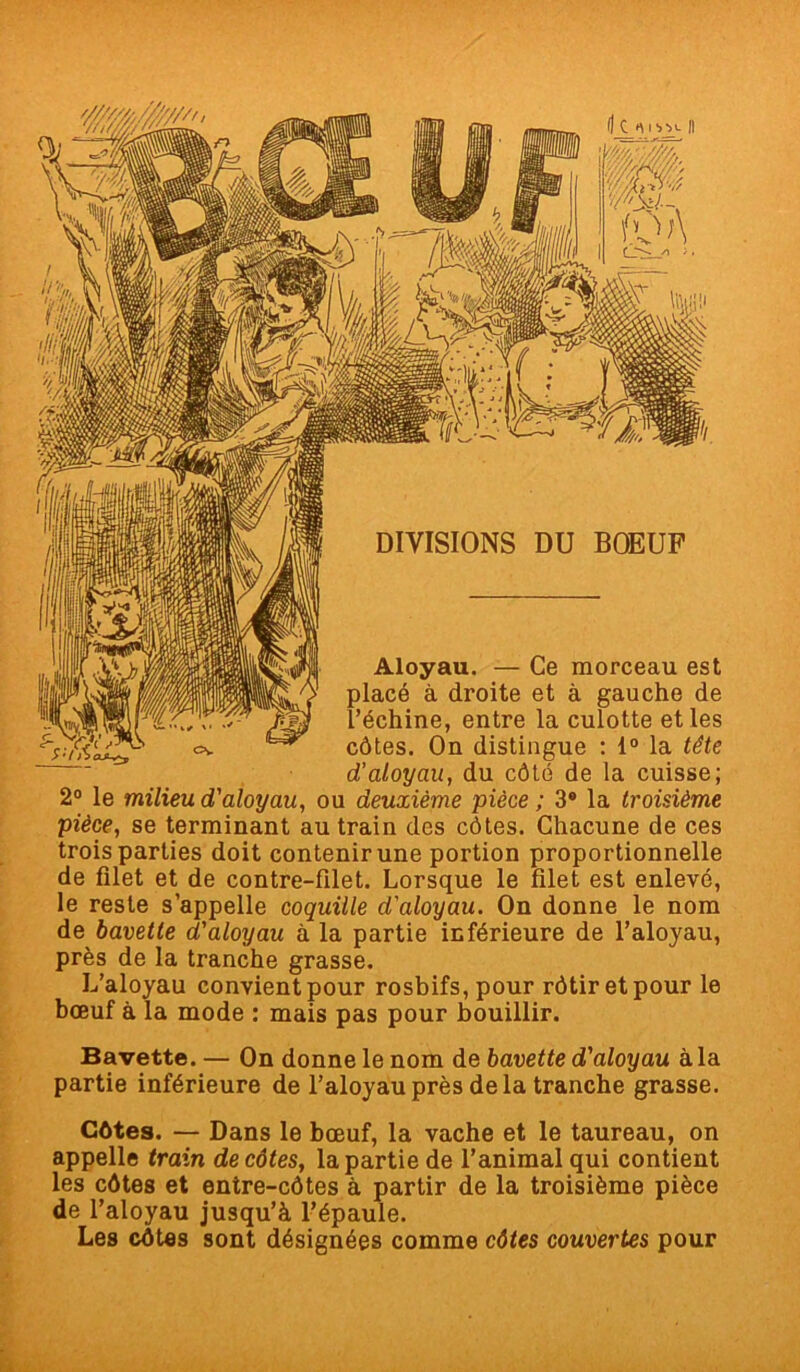 DIVISIONS DU BOEUF Aloyau. — Ce morceau est placé à droite et à gauche de l’échine, entre la culotte et les côtes. On distingue : 1° la tête d’aloyau, du côté de la cuisse; 2° le milieu d'aloyau, ou deuxième pièce ; 3® la troisième pièce, se terminant au train des côtes. Chacune de ces trois parties doit contenir une portion proportionnelle de filet et de contre-filet. Lorsque le filet est enlevé, le reste s’appelle coquille d'aloyau. On donne le nom de bavette d'aloyau à la partie inférieure de l’aloyau, près de la tranche grasse. L’aloyau convient pour rosbifs, pour rôtir et pour le bœuf à la mode : mais pas pour bouillir. Bavette. — On donne le nom de bavette d'aloyau à la partie inférieure de l’aloyau près delà tranche grasse. Côtes. — Dans le bœuf, la vache et le taureau, on appelle train de côtes, la partie de l’animal qui contient les côtes et entre-côtes à partir de la troisième pièce de l’aloyau jusqu’à l’épaule. Les côtes sont désignées comme côtes couvertes pour