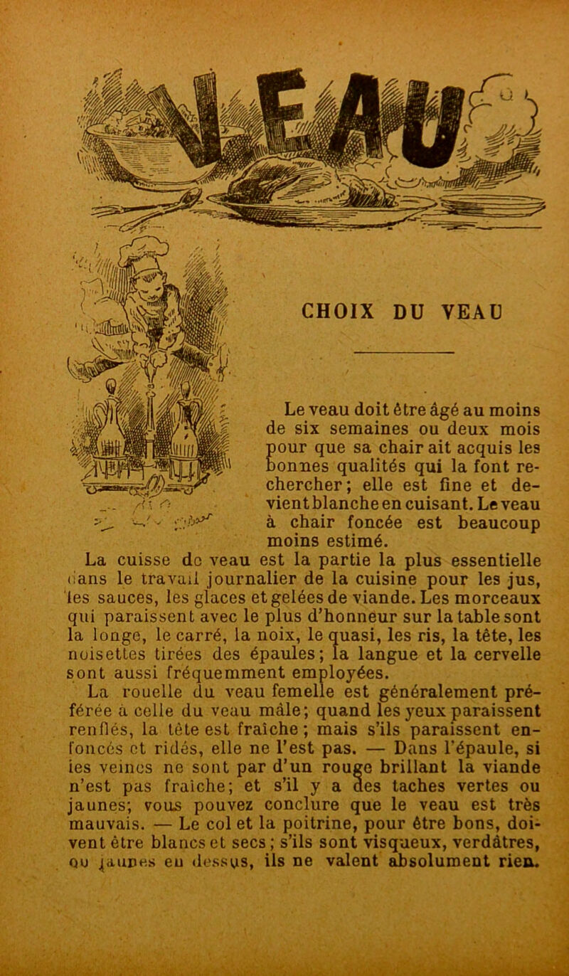 CHOIX DU VEAU Le veau doit être âgé au moins de six semaines ou deux mois pour que sa chair ait acquis les bonnes qualités qui la font re- chercher; elle est fine et de- vientblanche en cuisant. Le veau à chair foncée est beaucoup moins estimé. La cuisse de veau est la partie la plus essentielle ilans le travail journalier de la cuisine pour les jus, les sauces, les glaces et gelées de viande. Les morceaux qui paraissent avec le plus d’honneur sur la table sont la longe, le carré, la noix, le quasi, les ris, la tête, les noisettes tirées des épaules; la langue et la cervelle sont aussi fréquemment employées. La rouelle du veau femelle est généralement pré- férée à celle du veau mâle; quand les yeux paraissent renflés, la tête est fraîche ; mais s’ils paraissent en- foncés et ridés, elle ne l’est pas. — Dans l’épaule, si ies veines ne sont par d’un rouge brillant la viande n’est pas fraîche; et s’il y a des taches vertes ou jaunes; vous pouvez conclure que le veau est très mauvais. — Le col et la poitrine, pour être bons, doi- vent être blancs et secs ; s’ils sont visqueux, verdâtres, ou jaunes eu dessus, ils ne valent absolument rien.