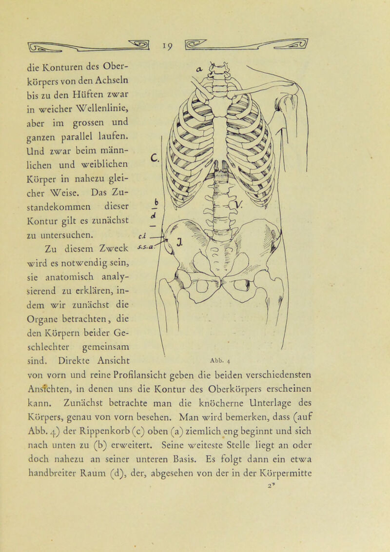 I p 1^^ die Konturen des Ober- körpers von den Achseln bis zu den Hüften zwar in weicher Wellenlinie, aber im grossen und ganzen parallel laufen. Und zwar beim männ- lichen und weiblichen Körper in nahezu glei- cher Weise. Das Zu- standekommen dieser Kontur gilt es zunächst zu untersuchen. c.i Zu diesem Zweck wird es notwendig sein, sie anatomisch analy- sierend zu erklären, in- dem wir zunächst die Organe betrachten, die den Körpern beider Ge- schlechter gemeinsam sind. Direkte Ansicht von vorn und reine Profilansicht geben die beiden verschiedensten Ansfchten, in denen uns die Kontur des Oberkörpers erscheinen kann. Zunächst betrachte man die knöcherne Unterlage des Körpers, genau von vorn besehen. Man wird bemerken, dass (auf Abb. zj.) der Rippenkorb (c) oben (a) ziemlich eng beginnt und sich nach unten zu (b) erweitert. Seine weiteste Stelle liegt an oder doch nahezu an seiner unteren Basis. Es folgt dann ein etwa handbreiter Raum (d), der, abgesehen von der in der Körpermitte 2'^