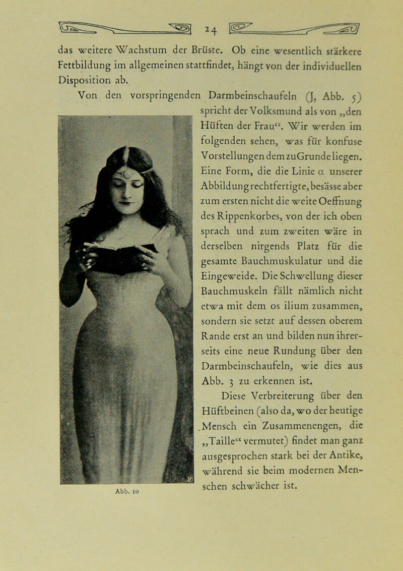 das weitere Wachstum der Brüste, Ob eine wesentlich stärkere Fettbildung im allgemeinen stattfindet, hängt von der individuellen Disposition ab. Von den vorspringenden Darmbeinschaufeln (J, Abb. 5) spricht der Volksmund als von „den Hüften der Frau“. Wir werden im folgenden sehen, was für konfuse Vorstellungen demzuGrundeliegen. Eine Form, die die Linie a unserer Abbildung rechtfertigte, besässe aber zum ersten nicht die weite Oeffnung des Rippenkorbes, von der ich oben sprach und zum zweiten wäre in derselben nirgends Platz für die gesamte Bauchmuskulatur und die Eingeweide. Die Schwellung dieser Bauchmuskeln fällt nämlich nicht etwa mit dem os ilium zusammen, sondern sie setzt auf dessen oberem Rande erst an und bilden nun ihrer- seits eine neue Rundung über den Darmbeinschaufeln, wie dies aus Abb. 3 zu erkennen ist. Diese Verbreiterung über den Hüftbeinen (also da, wo der heutige .Mensch ein Zusammenengen, die „Taille“ vermutet) findet man ganz ausgesprochen stark bei der Antike, während sic beim modernen Men- schen schwächer ist.