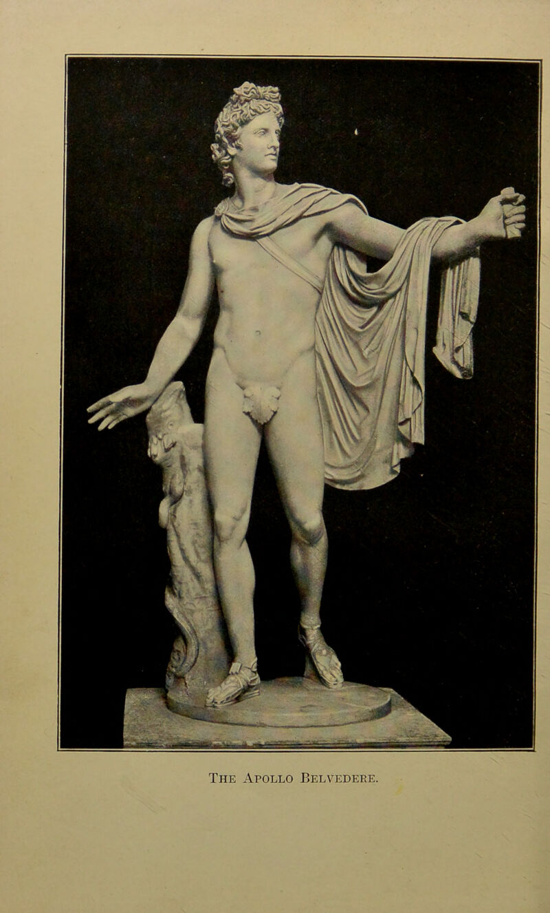 The Apollo Belvedepe.