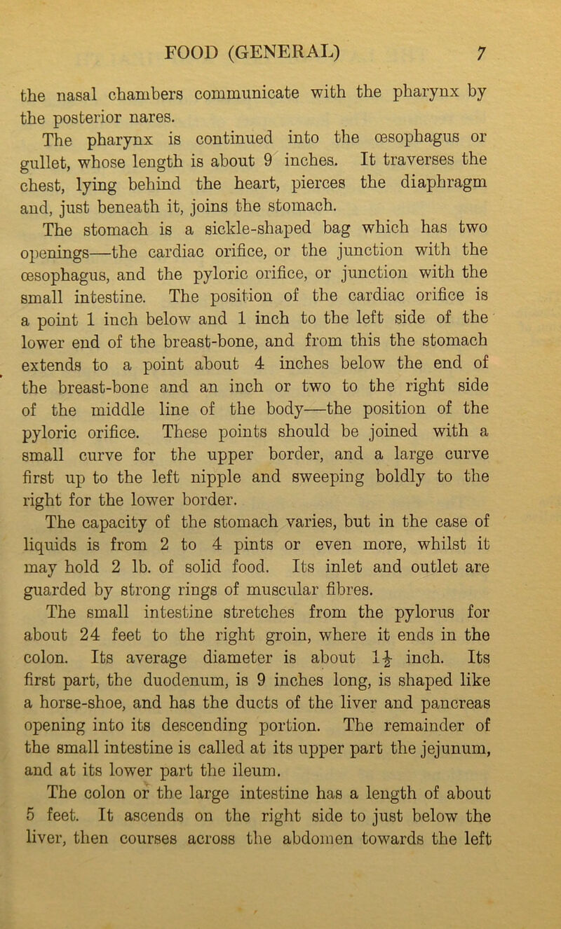 the nasal chambers communicate with the pharynx by the posterior nares. The pharynx is continued into the oesophagus or gullet, whose length is about 9 inches. It traverses the chest, lying behind the heart, pierces the diaphragm and, just beneath it, joins the stomach. The stomach is a sickle-shaped bag which has two openings—the cardiac orifice, or the junction with the oesophagus, and the pyloric orifice, or junction with the small intestine. The position of the cardiac orifice is a point 1 inch below and 1 inch to the left side of the lower end of the breast-bone, and from this the stomach extends to a point about 4 inches below the end of the breast-bone and an inch or two to the right side of the middle line of the body—the position of the pyloric orifice. These points should be joined with a small curve for the upper border, and a large curve first up to the left nipple and sweeping boldly to the right for the lower border. The capacity of the stomach varies, but in the case of liquids is from 2 to 4 pints or even more, whilst it may hold 2 lb. of solid food. Its inlet and outlet are guarded by strong rings of muscular fibres. The small intestine stretches from the pylorus for about 24 feet to the right groin, where it ends in the colon. Its average diameter is about inch. Its first part, the duodenum, is 9 inches long, is shaped like a horse-shoe, and has the ducts of the liver and pancreas opening into its descending portion. The remainder of the small intestine is called at its upper part the jejunum, and at its lower part the ileum. The colon or the large intestine has a length of about 5 feet. It ascends on the right side to just below the liver, then courses across the abdomen towards the left