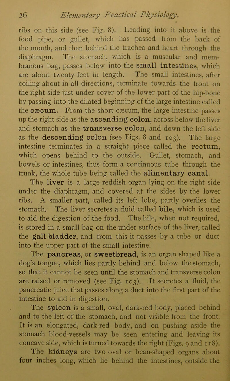 • ribs on this side (see Fig. 8). I.eading into it above is the food pipe, or gullet, which has passed from the back of the mouth, and then behind the trachea and heart through the diaphragm. The stomach, which is a muscular and mem- branous bag, passes below into the small intestines, which are about twenty feet in length. The small intestines, after coiling about in all directions, terminate towards the front on the right side just under cover of the lower part of the hip-bone by passing into the dilated beginning of the large intestine called the caecum. From the short caecum, the large intestine passes up the right side as the ascending colon, across below the liver and stomach as the transverse colon, and down the left side as the descending colon (see Figs. 8 and 103). The large intestine terminates in a straight piece called the rectum, which opens behind to the outside. Gullet, stomach, and bowels or intestines, thus form a continuous tube through the trunk, the whole tube being called the alimentary canal. The liver is a large reddish organ lying on the right side under the diaphragm, and covered at the sides by the lower ribs. A smaller part, called its left lobe, partly overlies the stomach. The liver secretes a fluid called bile, which is used to aid the digestion of the food. The bile, when not required, is stored in a small bag on the under surface of the liver, called the gall-bladder, and from this it passes by a tube or duct into the upper part of the small intestine. The pancreas, or sweetbread, is an organ shaped like a dog’s tongue, which lies partly behind and below the stomach, so that it cannot be seen until the stomach and transverse colon are raised or removed (see Fig. 103). It secretes a fluid, the pancreatic juice that passes along a duct into the first part of the intestine to aid in digestion. The spleen is a small, oval, dark-red body, placed behind and to the left of the stomach, and not visible from the front. It is an elongated, dark-red body, and on pushing aside the stomach blood-vessels may be seen entering and leaving its concave side, which is turned towards the right (Figs. 9 and 118). The kidneys are two oval or bean-shaped organs about four inches long, which lie behind the intestines, outside the