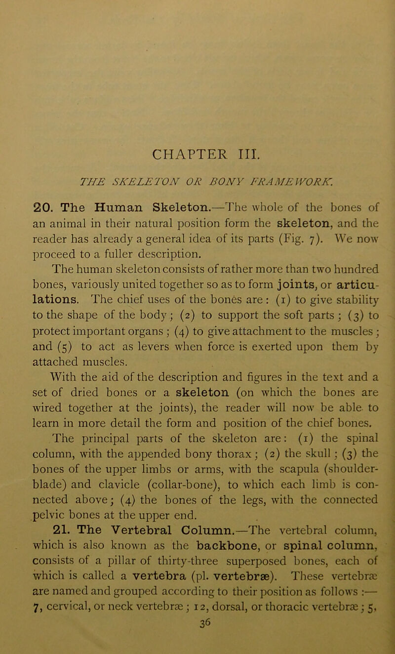 CHAPTER III. THE SKELETON OR BONY FRAMEWORK. 20. The Human Skeleton.—The whole of the bones of an animal in their natural position form the skeleton, and the reader has already a general idea of its parts (Fig. 7). We now proceed to a fuller description. The human skeleton consists of rather more than two hundred bones, variously united together so as to form joints, or articu- lations. The chief uses of the bones are : (i) to give stability to the shape of the body ; (2) to support the soft parts ; (3) to protect important organs ; (4) to give attachment to the muscles; and (5) to act as levers when force is exerted upon them by attached muscles. With the aid of the description and figures in the text and a set of dried bones or a skeleton (on which the bones are wired together at the joints), the reader will now be able- to learn in more detail the form and position of the chief bones. The principal parts of the skeleton are: (i) the spinal column, with the appended bony thorax; (2) the skull; (3) the bones of the upper limbs or arms, with the scapula (shoulder- blade) and clavicle (collar-bone), to which each limb is con- nected above; (4) the bones of the legs, with the connected pelvic bones at the upper end. 21. The Vertebral Column.—The vertebral column, which is also known as the backbone, or spinal column, consists of a pillar of thirty-three superposed bones, each of v/hich is called a vertebra (pi. vertebrae). These vertebra are named and grouped according to their position as follows :— 7, cervical, or neck vertebras; 12, dorsal, or thoracic vertebras; 5,