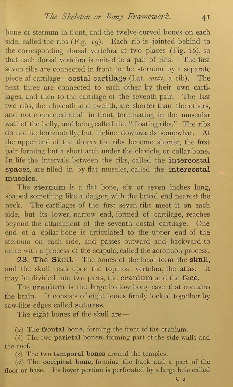 bone or sternum in front, and the twelve curved bones on each side, called the ribs (Fig. 19). Each rib is jointed behind to the corresponding dorsal vertebra at two places (Fig. 16), so that each dorsal vertebra is united to a pair of ribs. The first seven ribs are connected in front to the sternum by a separate piece of cartilage—costal cartilage (Lat. costa, a rib). The next three are connected to each other by their own carti- lages, and then to the cartilage of the seventh pair. The last two ribs, the eleventh and twelfth, are shorter than the others, and not connected at all in front, terminating in the muscular wall of the belly, and being called the “ floating ribs.” The ribs do not lie horizontally, but incline downwards somewhat. At the upper end of the thorax the ribs become shorter, the first pair forming but a short arch under the clavicle, or collar-bone. In life the intervals between the ribs, called the intercostal spaces, are filled in by flat muscles, called the intercostal muscles. The sternum is a flat bone, six or seven inches long, shaped something like a dagger, with the broad end nearest the neck. The cartilages of the first seven ribs meet it on each side, but its lower, narrow end, formed of cartilage, reaches beyond the attachment of the seventh costal cartilage. One end of a collar-bone is articulated to the upper end of the sternum on each side, and passes outward and backward to unite with a process of the scapula, called the acromion process. 23. The Skull.—The bones of the head form the skull, and the skull rests upon the topmost vertebra, the atlas. It may be divided into two parts, the cranium and the face. The cranium is the large hollow bony case that contains the brain. It consists of eight bones firmly locked together by saw-like edges called sutures. The eight bones of the skull are— {a) The frontal bone, forming the front of the cranium. {b) The two parietal bones, forming part of the side-walls and the roof. {c) The two temporal bones around the temples. {d) The occipital bone, forming the back and a part of the floor or base. Its lower portion is perforated by a large hole called